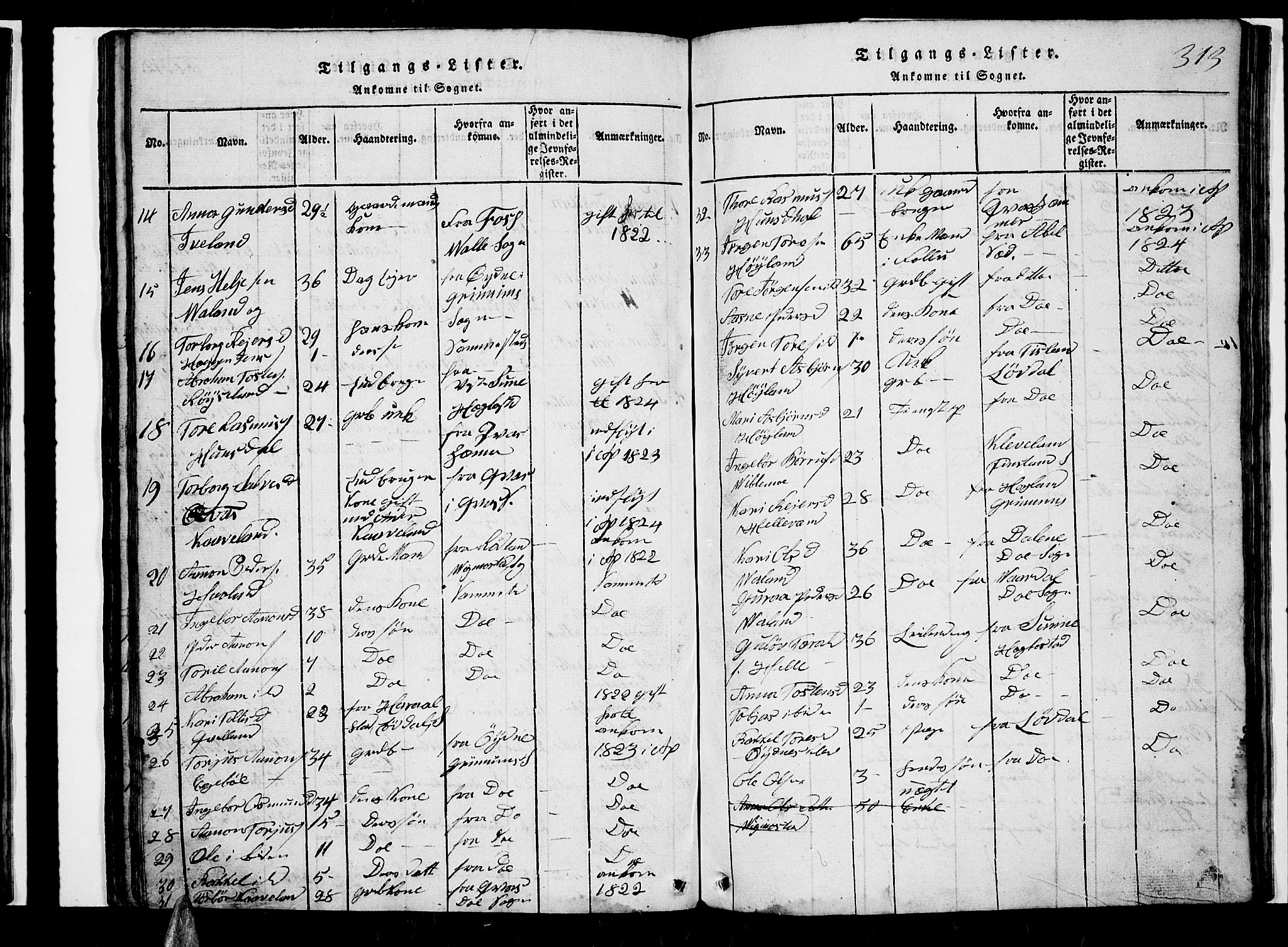 Nord-Audnedal sokneprestkontor, AV/SAK-1111-0032/F/Fb/Fba/L0001: Parish register (copy) no. B 1, 1815-1856, p. 313