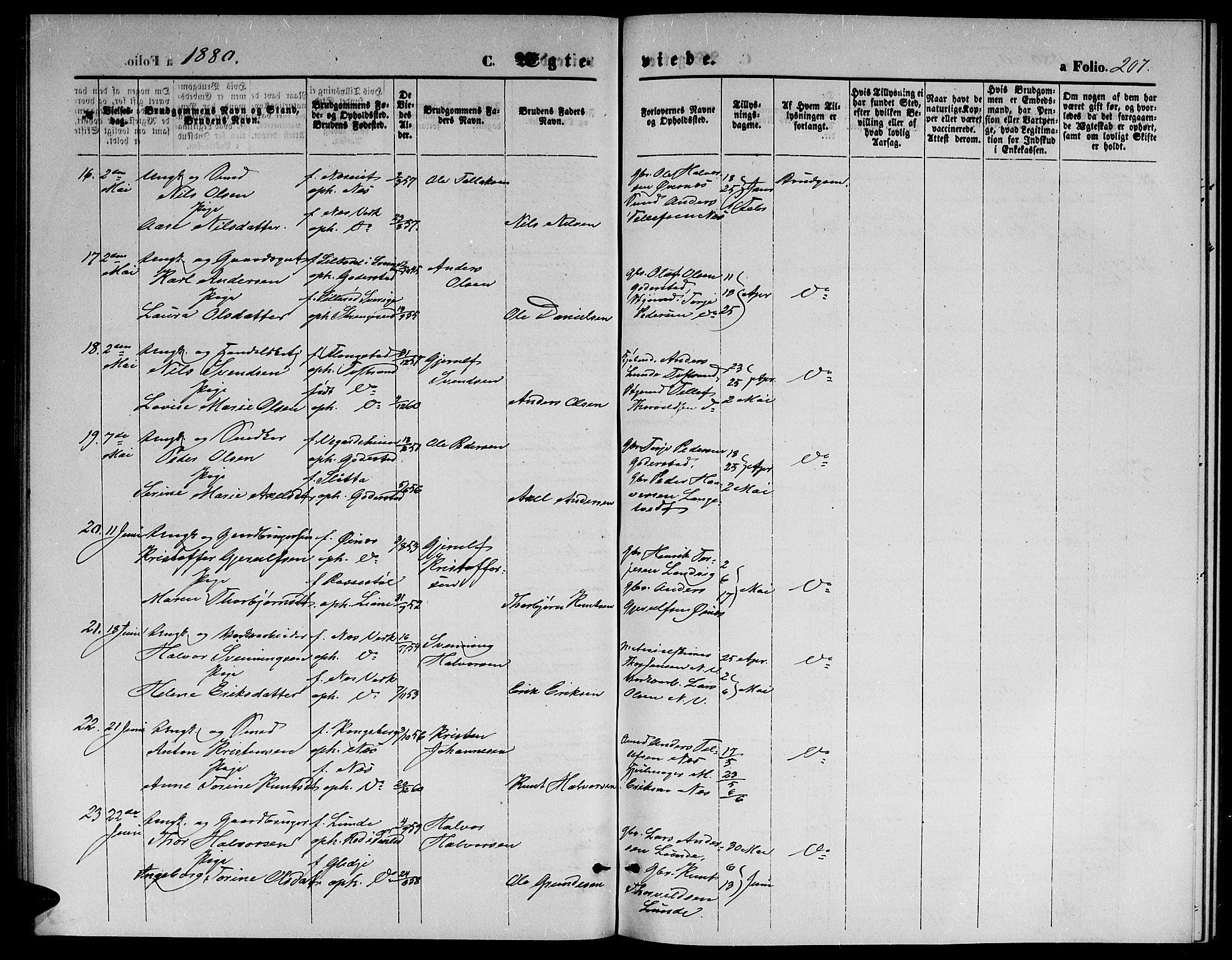 Holt sokneprestkontor, AV/SAK-1111-0021/F/Fb/L0009: Parish register (copy) no. B 9, 1871-1883, p. 207