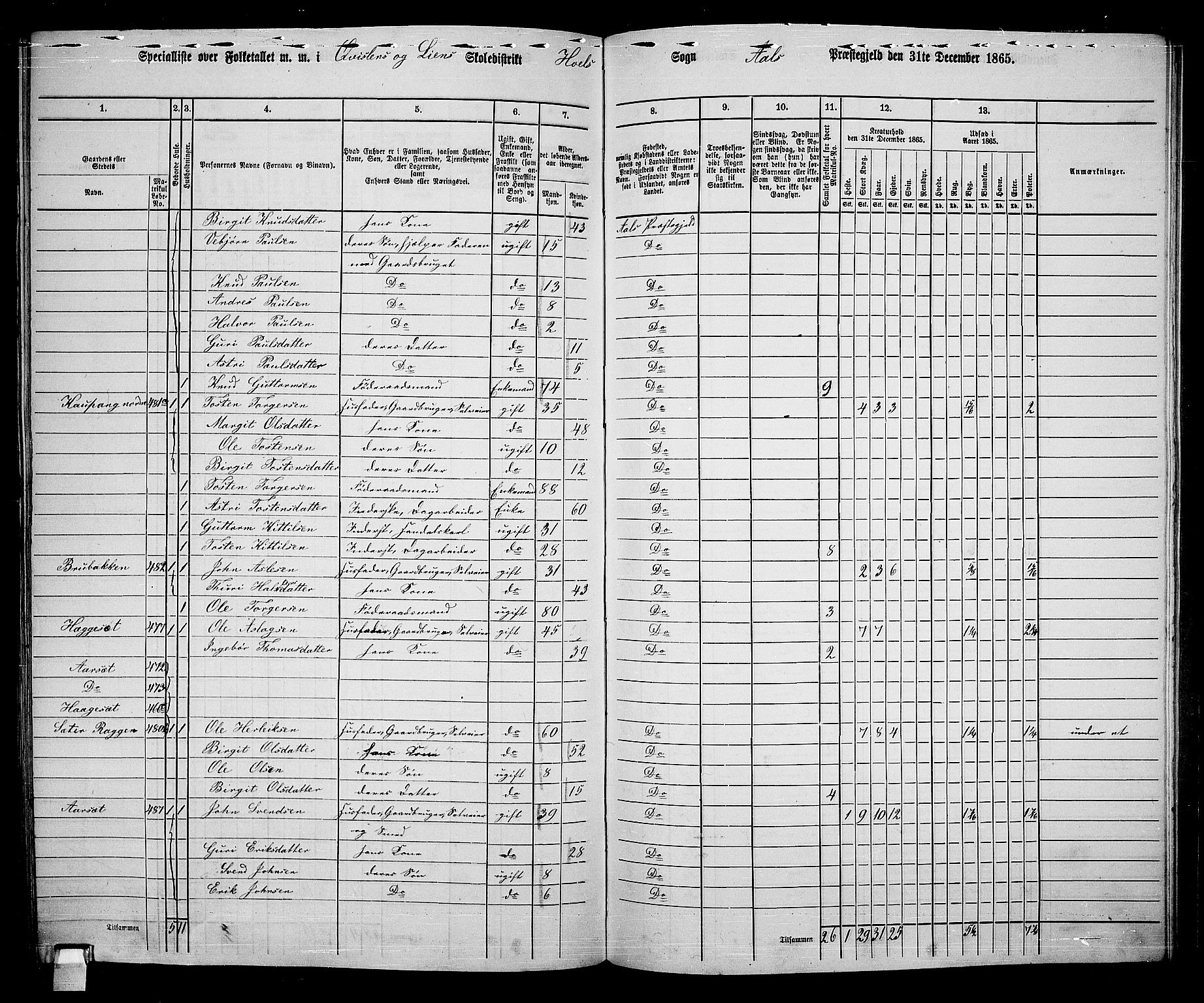 RA, 1865 census for Ål, 1865, p. 232