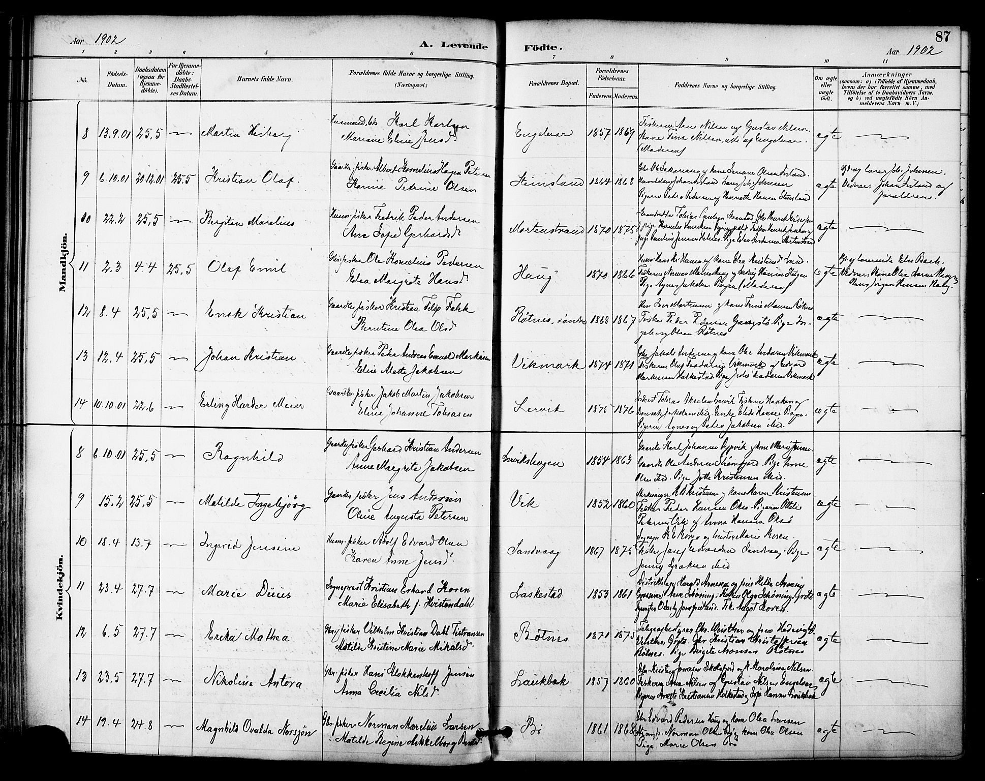 Ministerialprotokoller, klokkerbøker og fødselsregistre - Nordland, SAT/A-1459/855/L0803: Parish register (official) no. 855A11, 1887-1905, p. 87