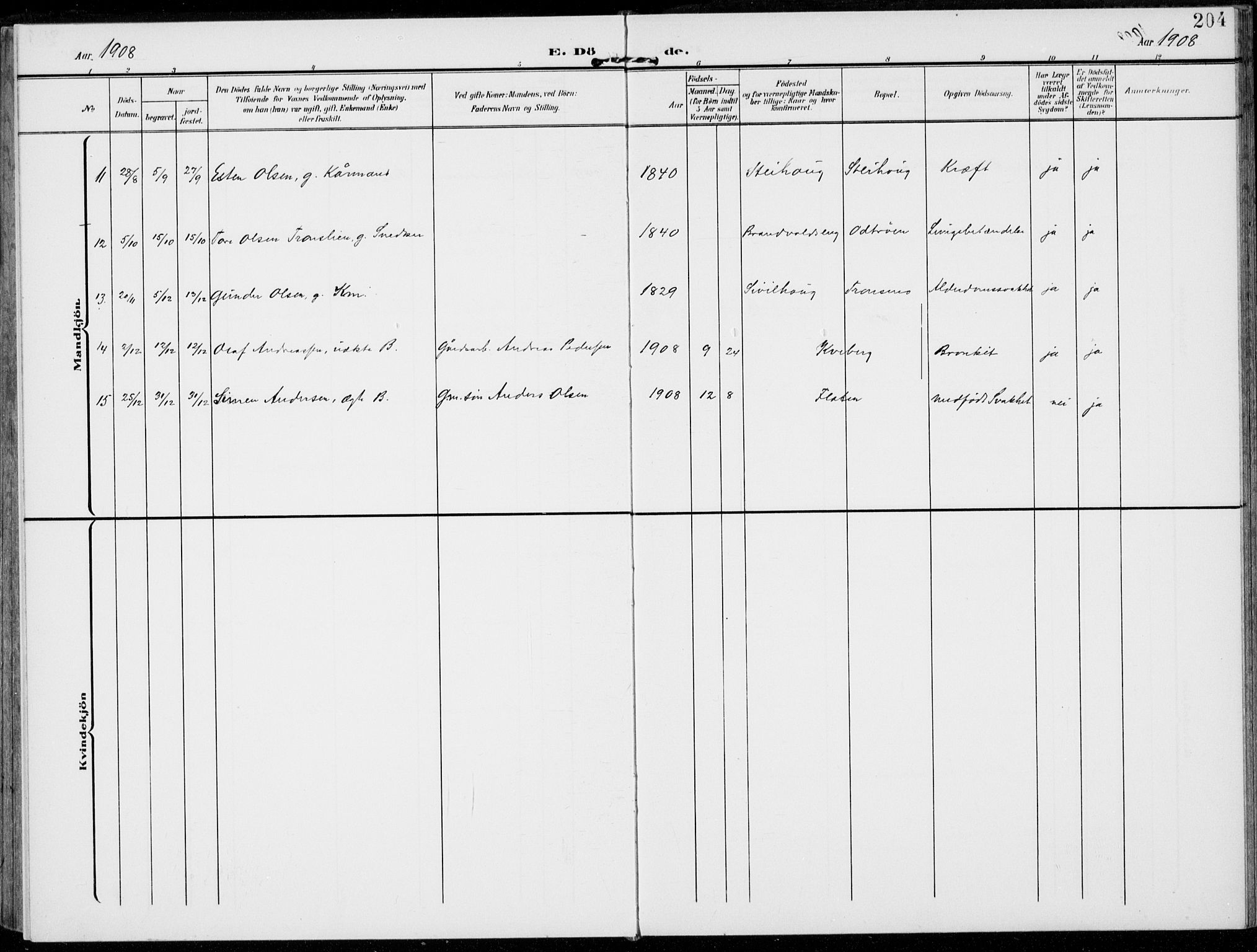 Alvdal prestekontor, SAH/PREST-060/H/Ha/Haa/L0004: Parish register (official) no. 4, 1907-1919, p. 204