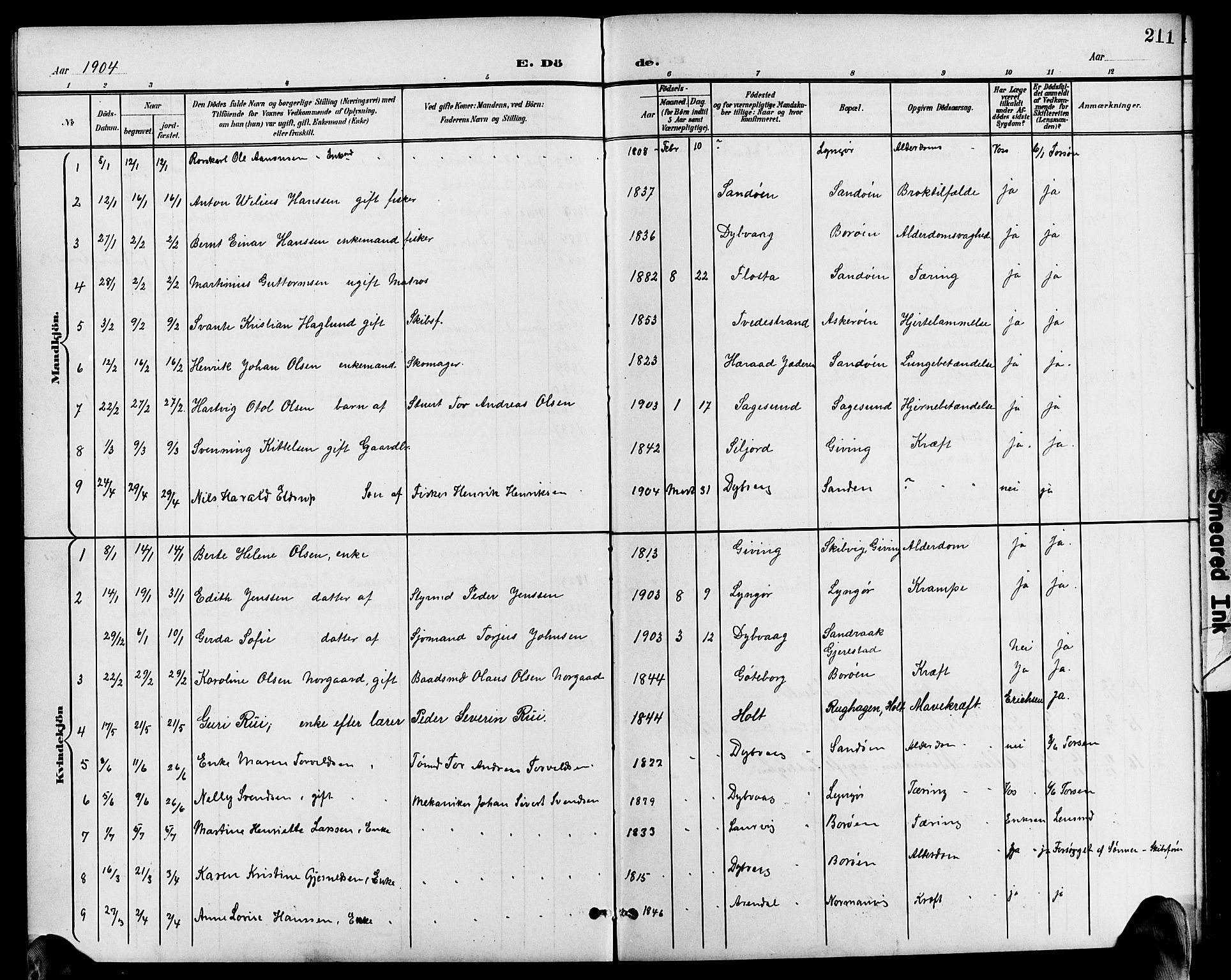 Dypvåg sokneprestkontor, AV/SAK-1111-0007/F/Fb/Fba/L0014: Parish register (copy) no. B 14, 1901-1922, p. 211