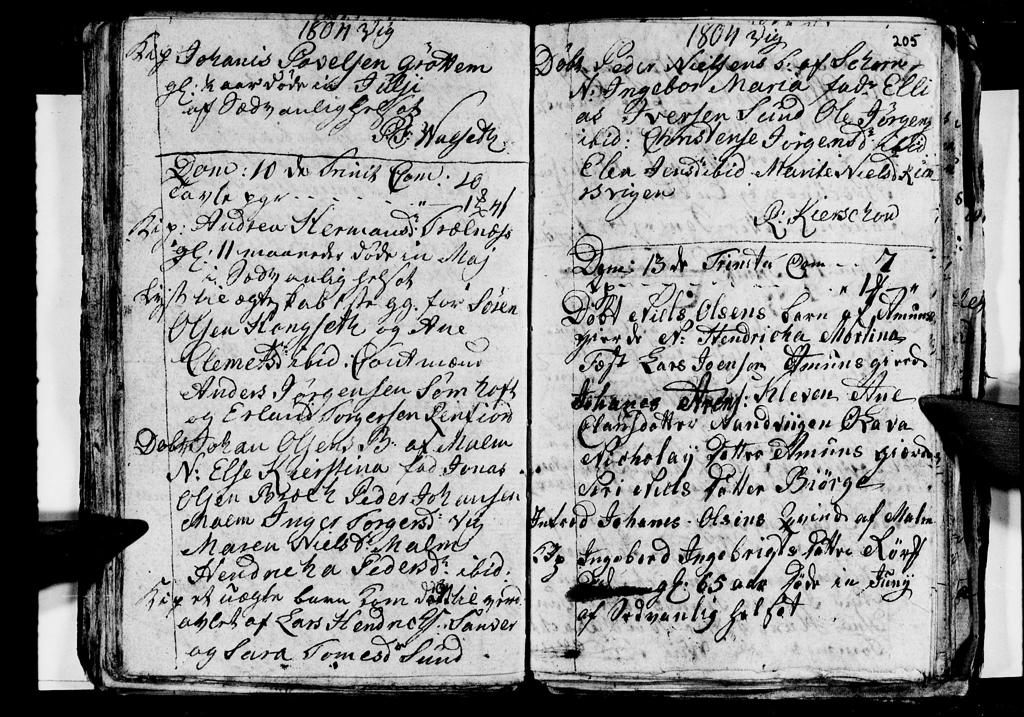 Ministerialprotokoller, klokkerbøker og fødselsregistre - Nordland, AV/SAT-A-1459/812/L0184: Parish register (copy) no. 812C02, 1793-1809, p. 205