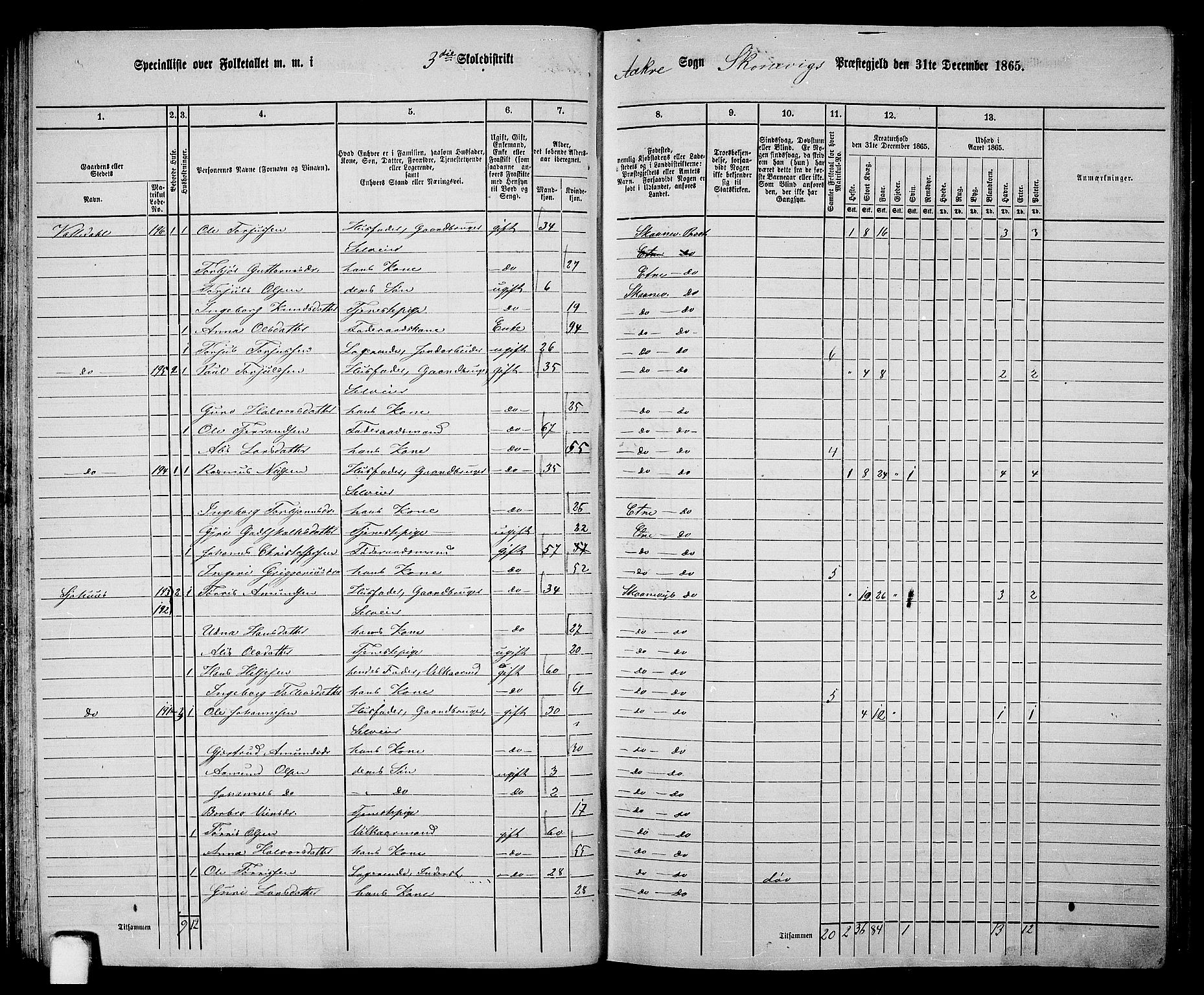 RA, 1865 census for Skånevik, 1865, p. 55