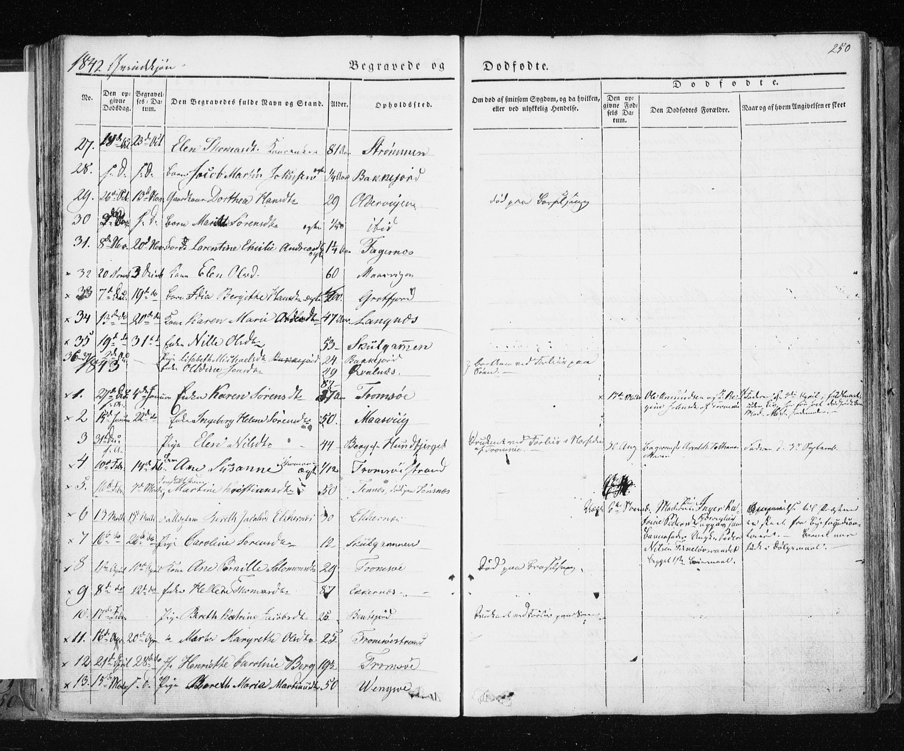 Tromsø sokneprestkontor/stiftsprosti/domprosti, SATØ/S-1343/G/Ga/L0009kirke: Parish register (official) no. 9, 1837-1847, p. 250