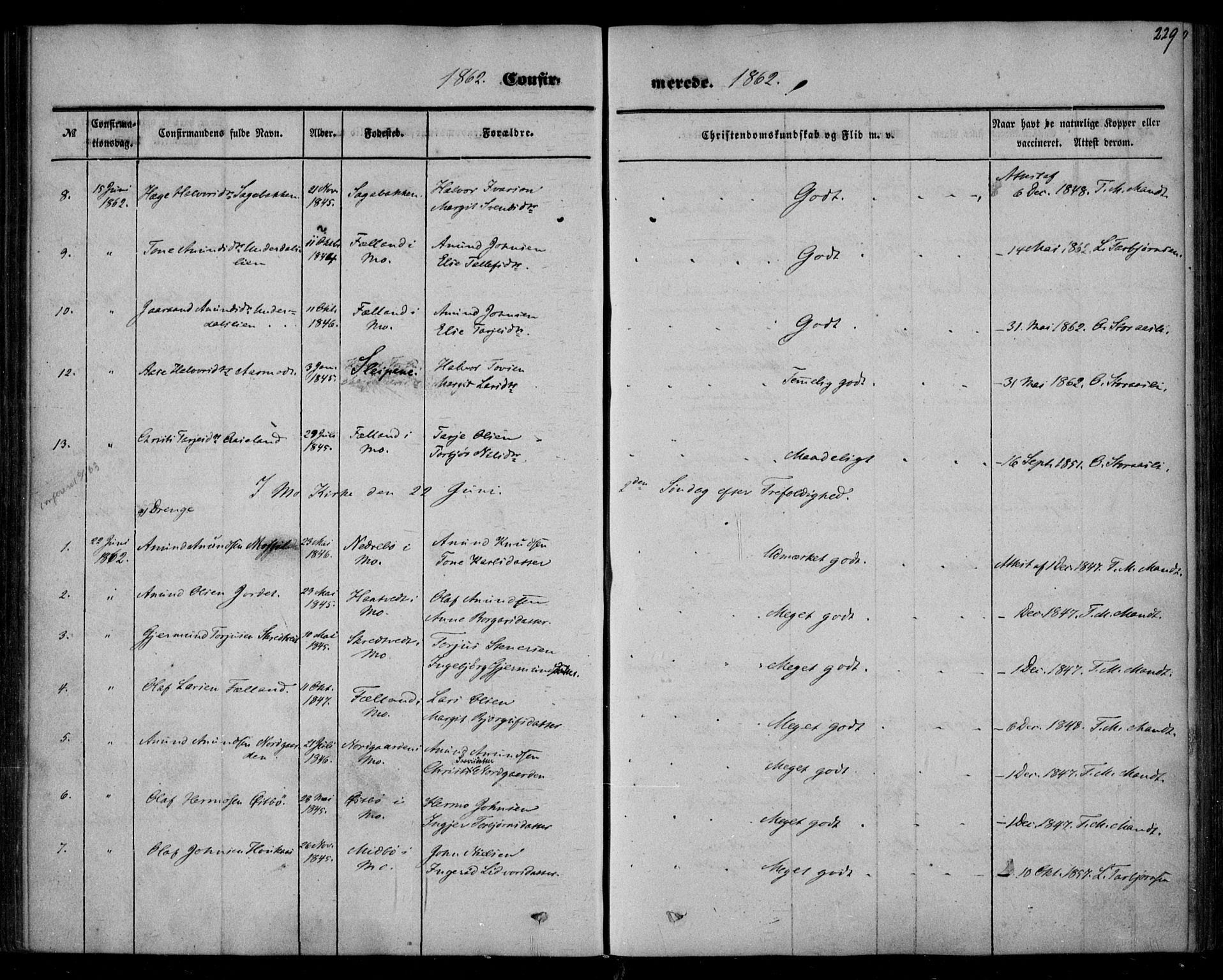 Mo kirkebøker, AV/SAKO-A-286/F/Fa/L0005: Parish register (official) no. I 5, 1844-1864, p. 229