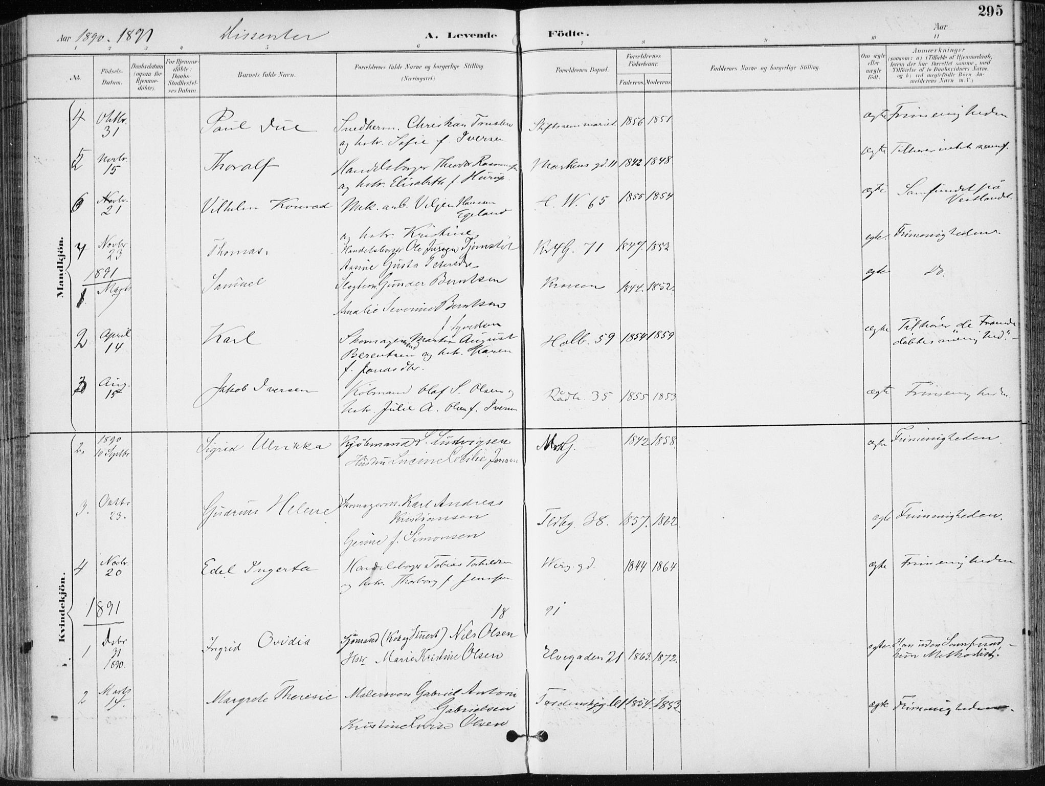 Kristiansand domprosti, SAK/1112-0006/F/Fa/L0019: Parish register (official) no. A 18, 1890-1897, p. 295