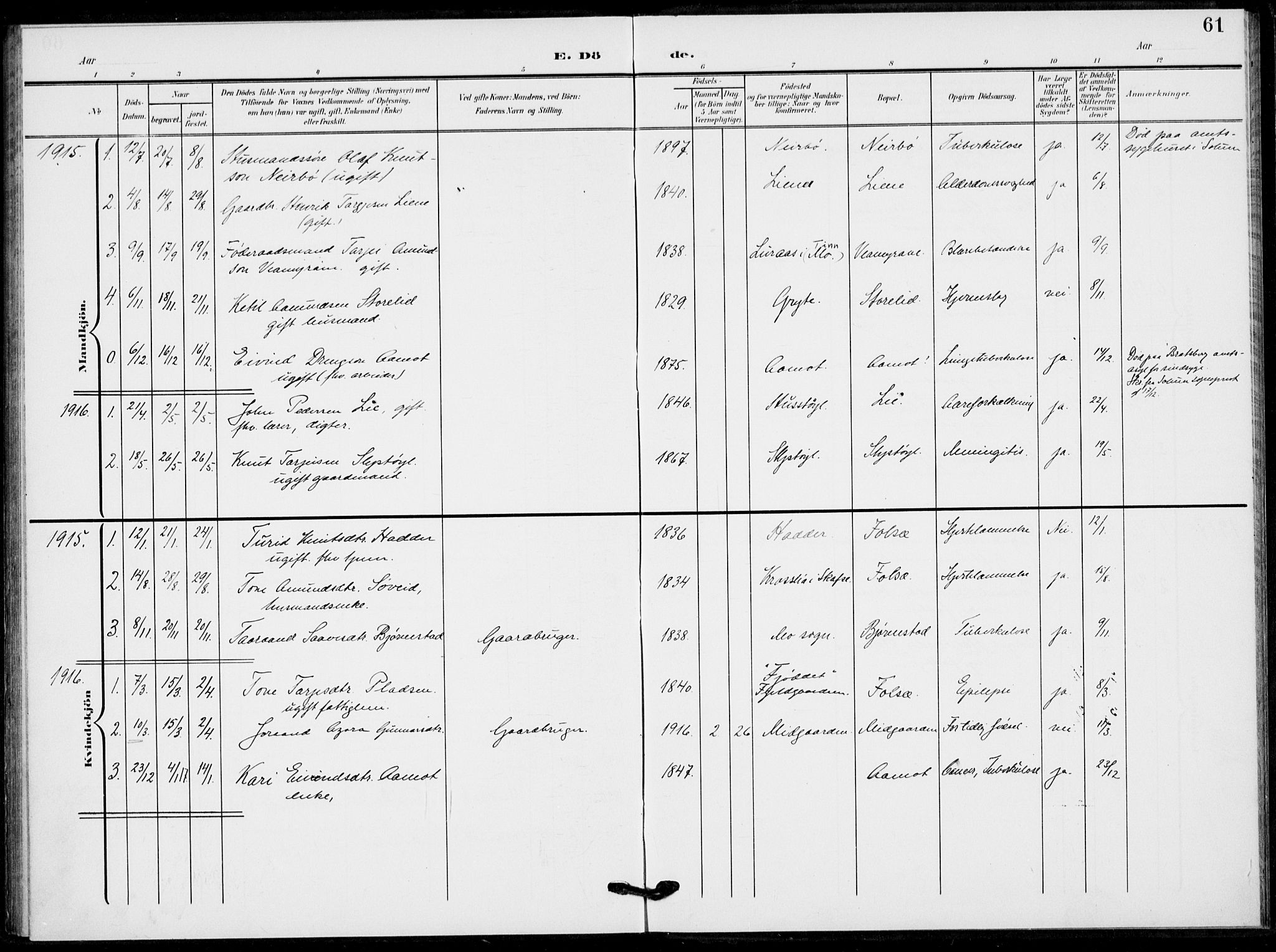 Fyresdal kirkebøker, SAKO/A-263/F/Fb/L0004: Parish register (official) no. II 4, 1903-1920, p. 61