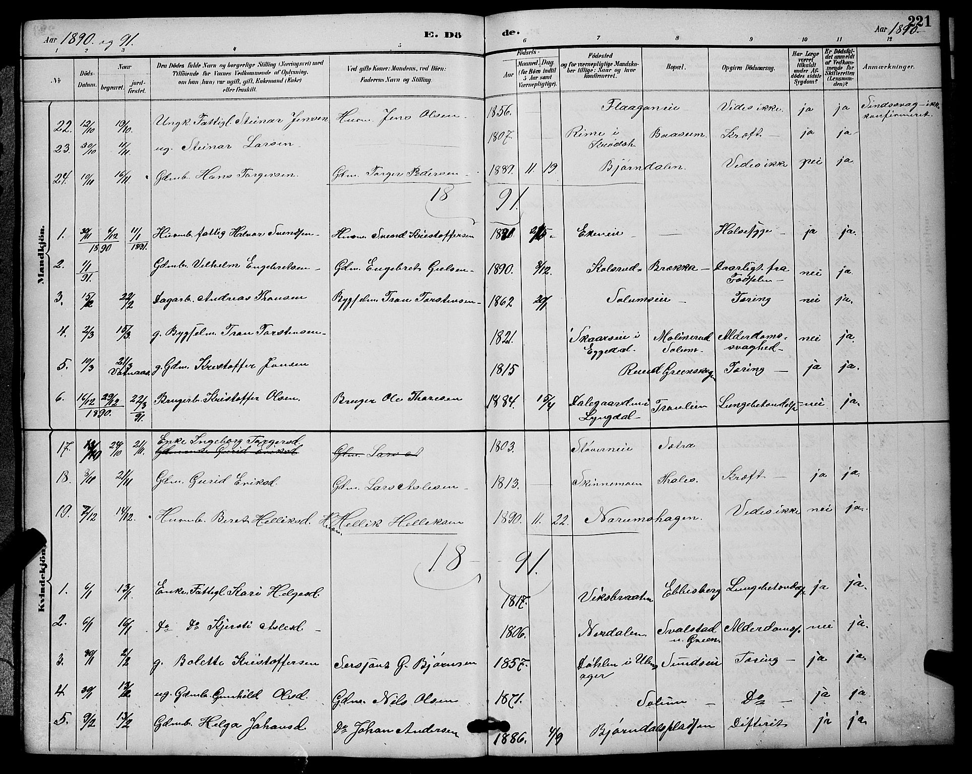 Sigdal kirkebøker, SAKO/A-245/G/Ga/L0005: Parish register (copy) no. I 5, 1886-1900, p. 221