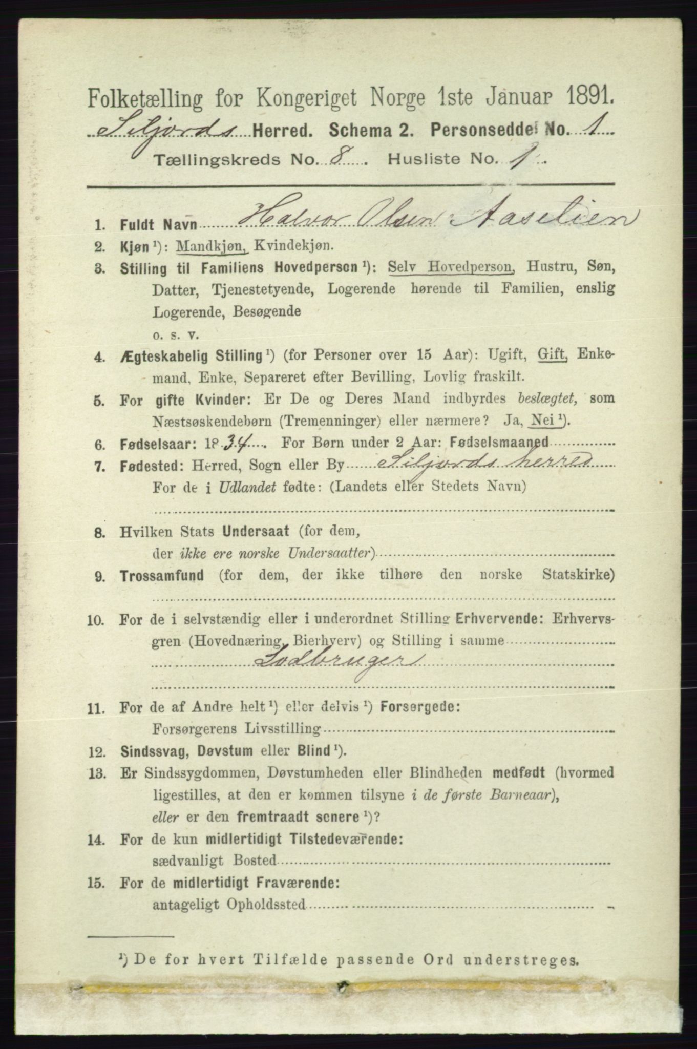 RA, 1891 census for 0828 Seljord, 1891, p. 2876
