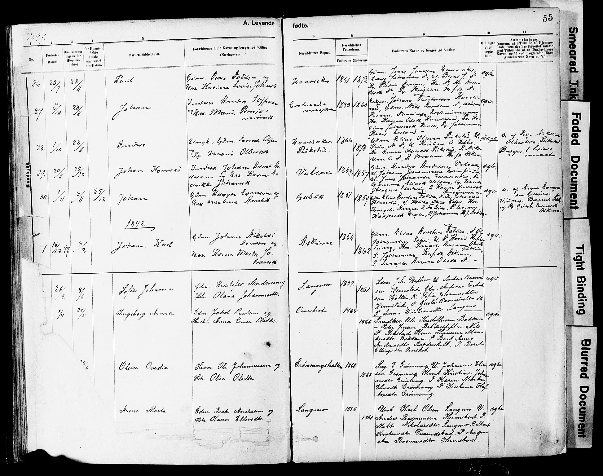 Ministerialprotokoller, klokkerbøker og fødselsregistre - Sør-Trøndelag, SAT/A-1456/646/L0615: Parish register (official) no. 646A13, 1885-1900, p. 55