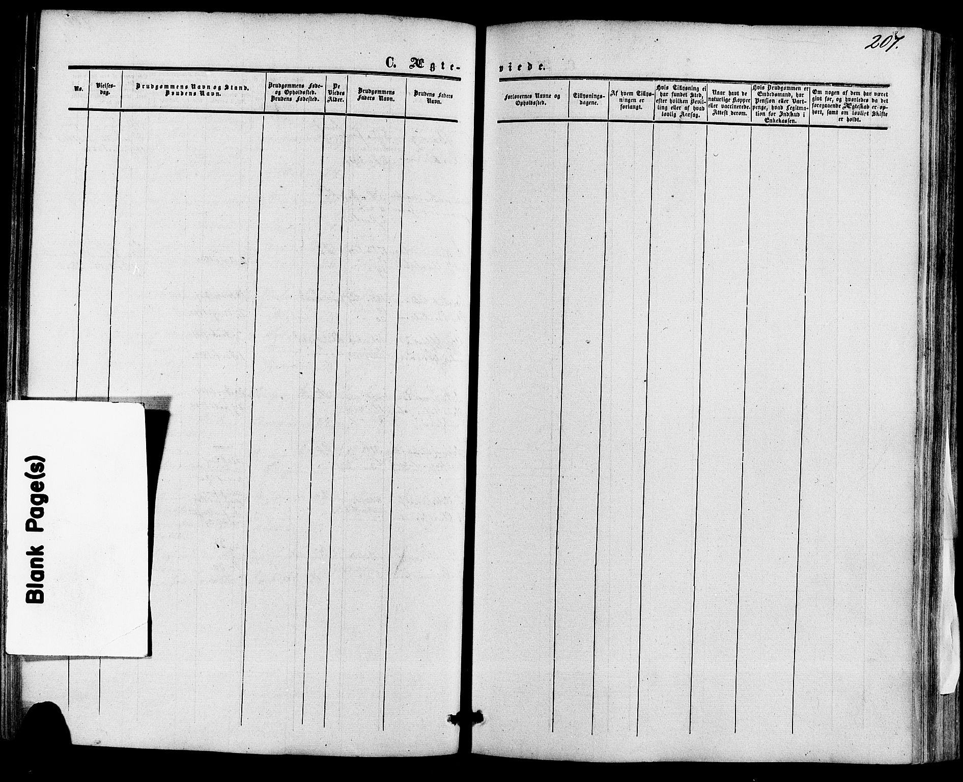 Skien kirkebøker, AV/SAKO-A-302/F/Fa/L0007: Parish register (official) no. 7, 1856-1865, p. 207