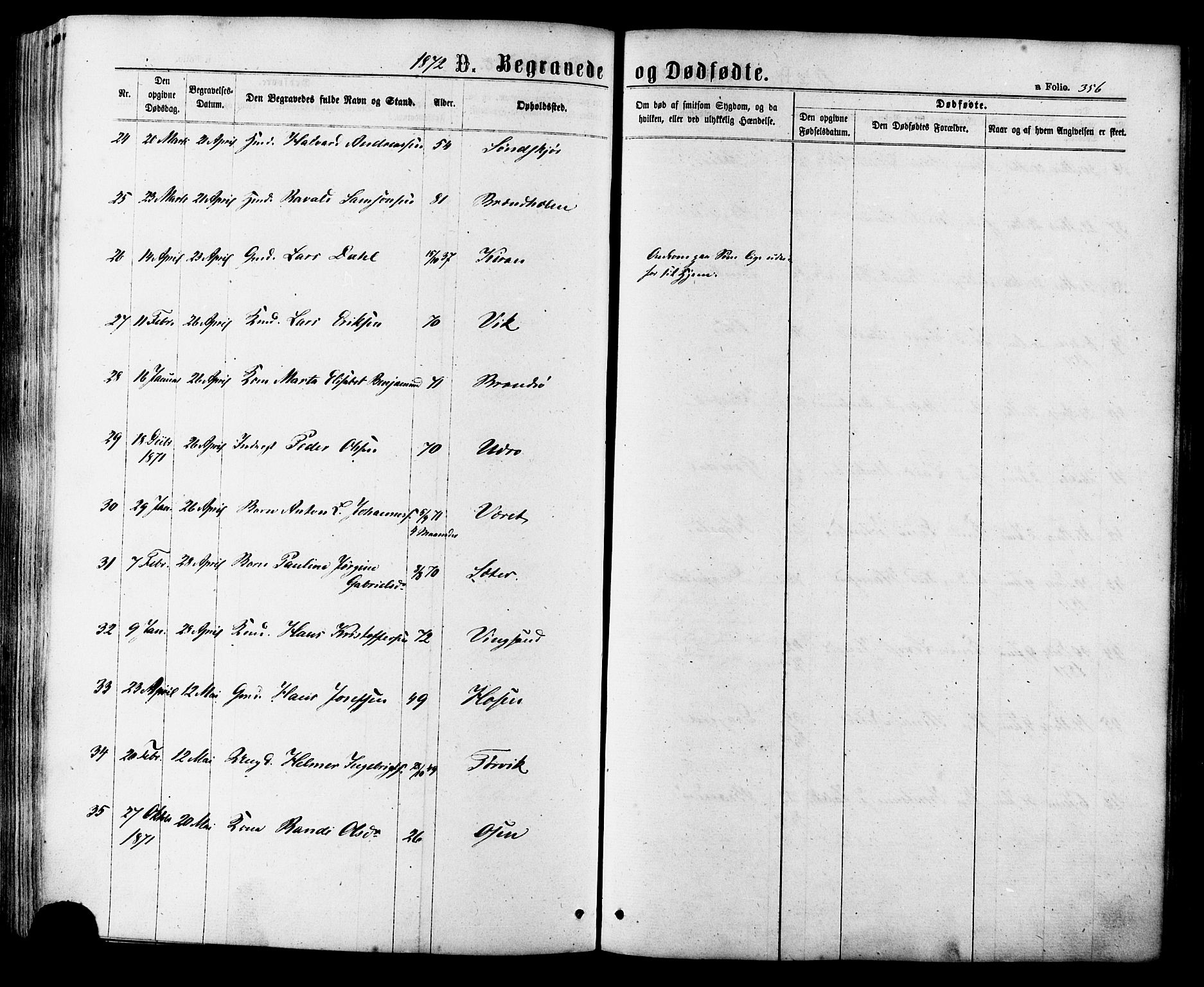 Ministerialprotokoller, klokkerbøker og fødselsregistre - Sør-Trøndelag, AV/SAT-A-1456/657/L0706: Parish register (official) no. 657A07, 1867-1878, p. 356