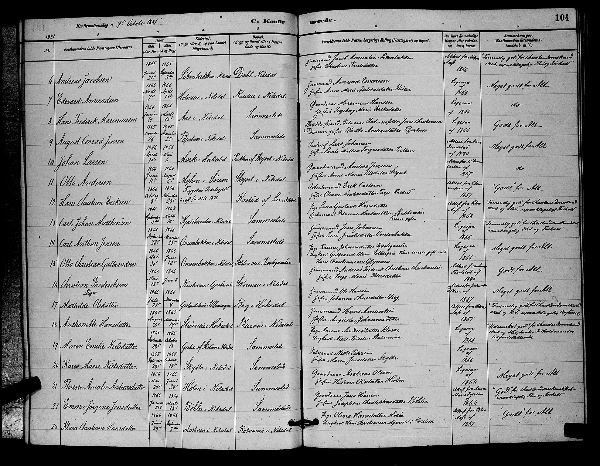 Nittedal prestekontor Kirkebøker, SAO/A-10365a/G/Ga/L0002: Parish register (copy) no. I 2, 1879-1901, p. 104