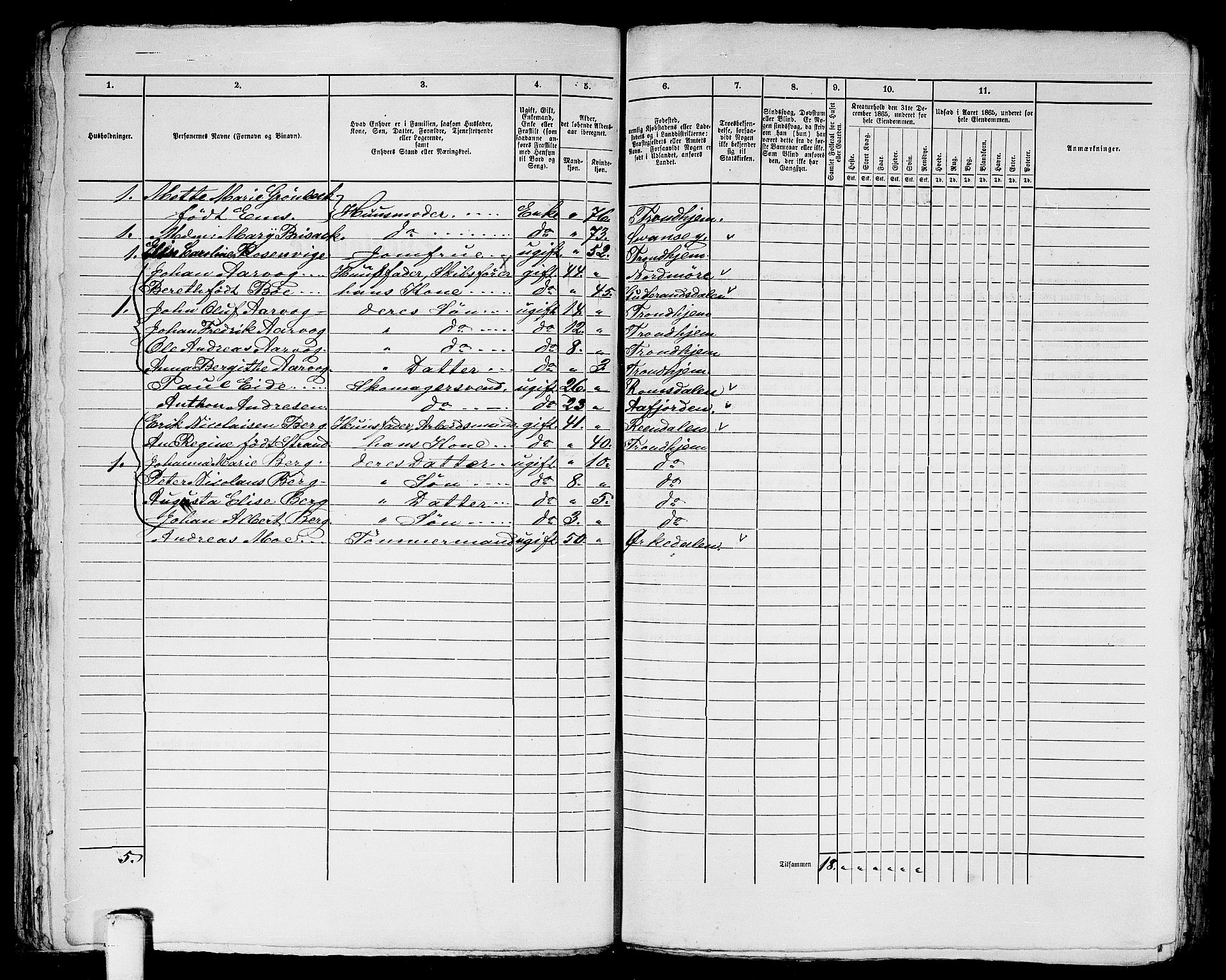 RA, 1865 census for Trondheim, 1865, p. 1211