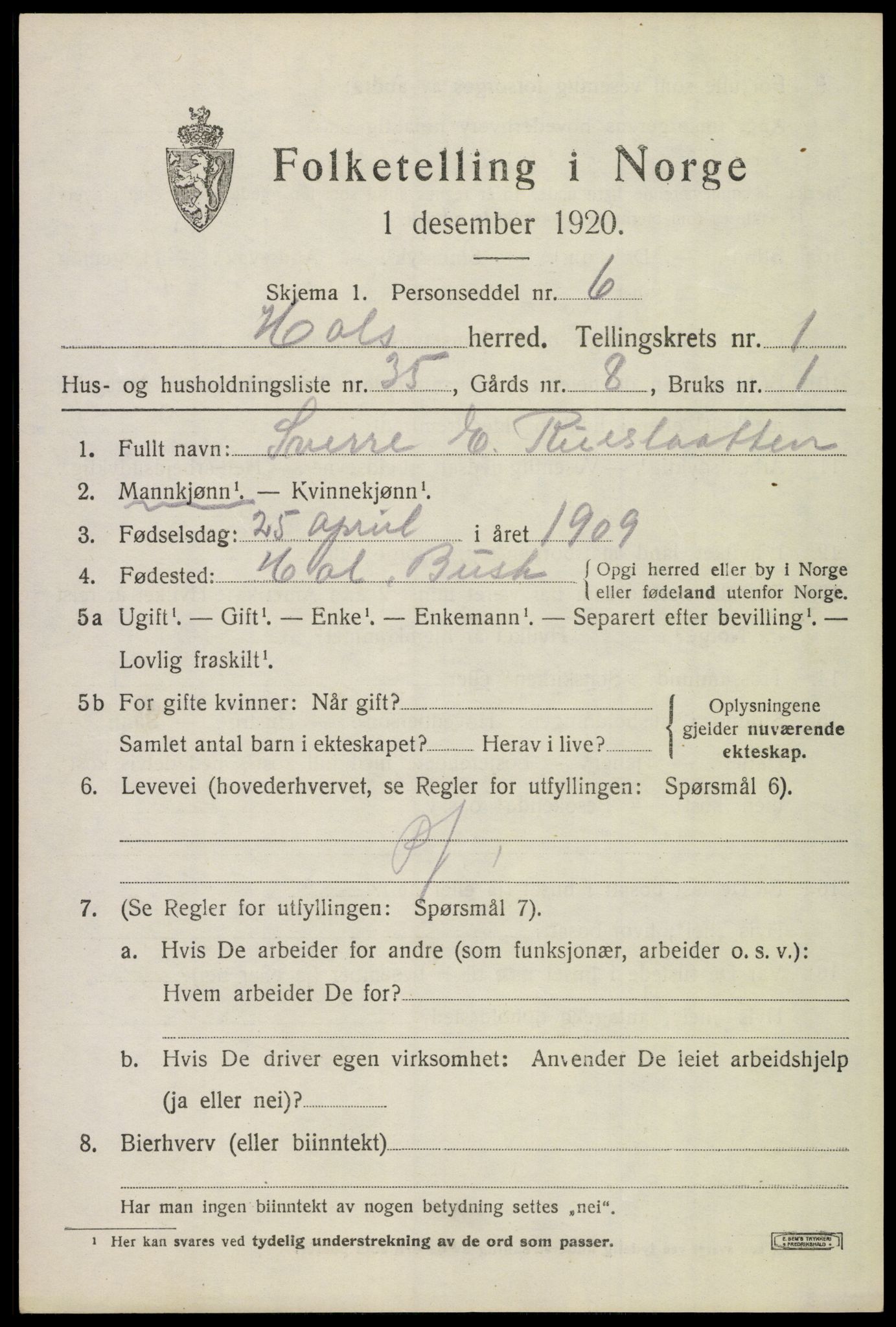 SAKO, 1920 census for Hol (Buskerud), 1920, p. 1189