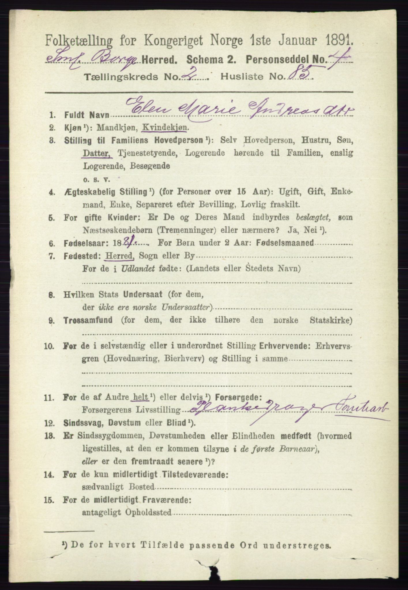 RA, 1891 census for 0113 Borge, 1891, p. 1346