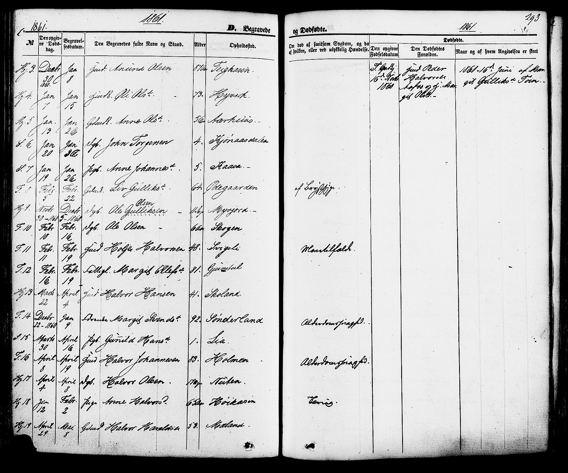 Hjartdal kirkebøker, SAKO/A-270/F/Fa/L0009: Parish register (official) no. I 9, 1860-1879, p. 293