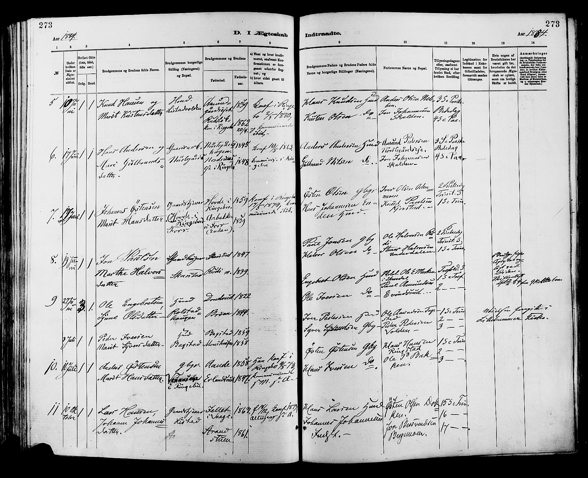 Sør-Fron prestekontor, AV/SAH-PREST-010/H/Ha/Haa/L0003: Parish register (official) no. 3, 1881-1897, p. 273