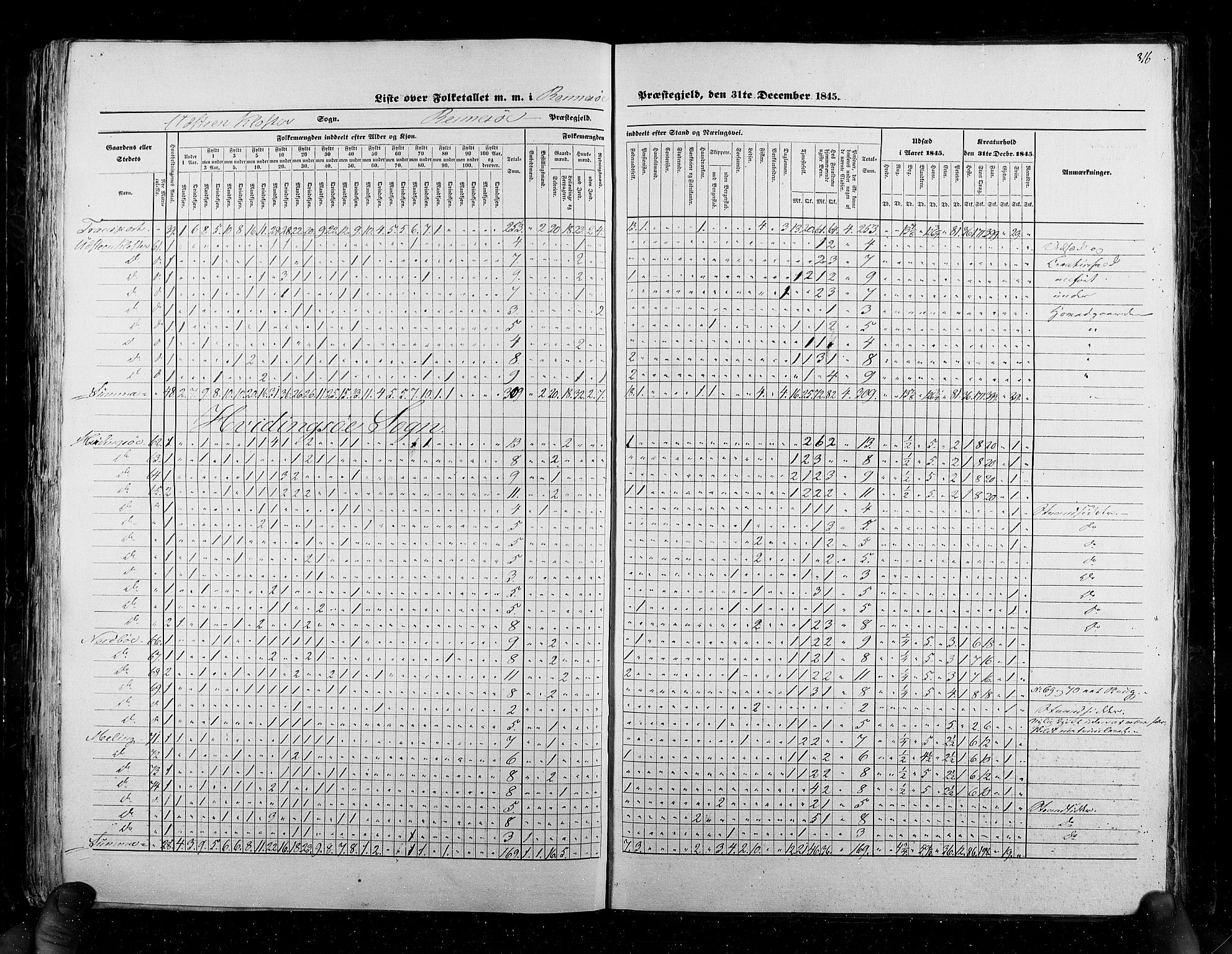 RA, Census 1845, vol. 6: Lister og Mandal amt og Stavanger amt, 1845, p. 316