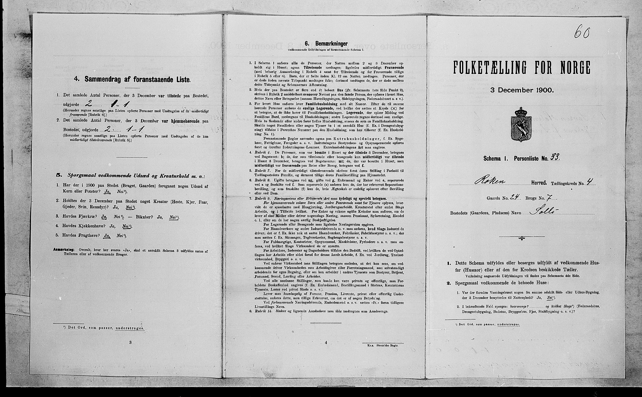 RA, 1900 census for Røyken, 1900, p. 579