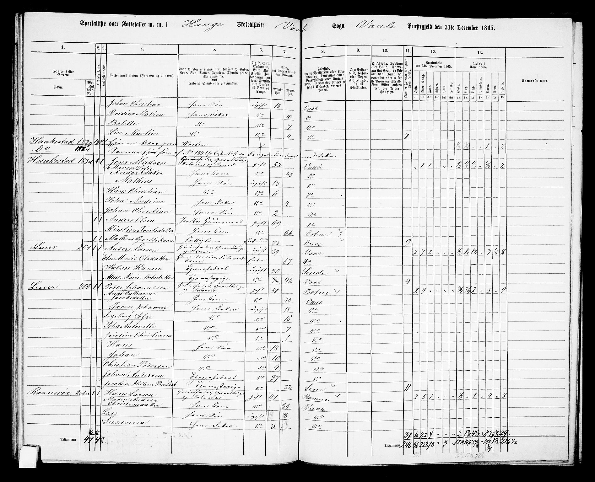 RA, 1865 census for Våle, 1865, p. 66