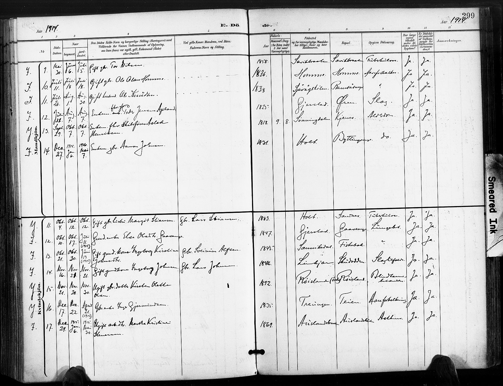 Søndeled sokneprestkontor, SAK/1111-0038/F/Fa/L0006: Parish register (official) no. A 6, 1900-1922, p. 299