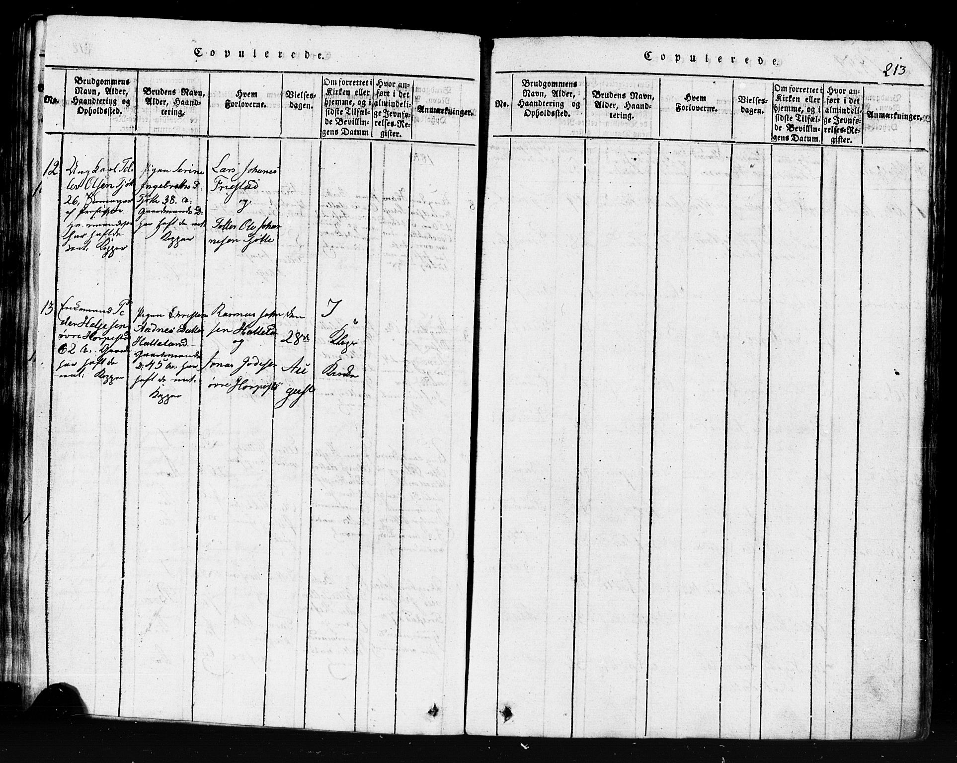 Klepp sokneprestkontor, AV/SAST-A-101803/001/3/30BB/L0001: Parish register (copy) no.  B 1, 1816-1859, p. 213