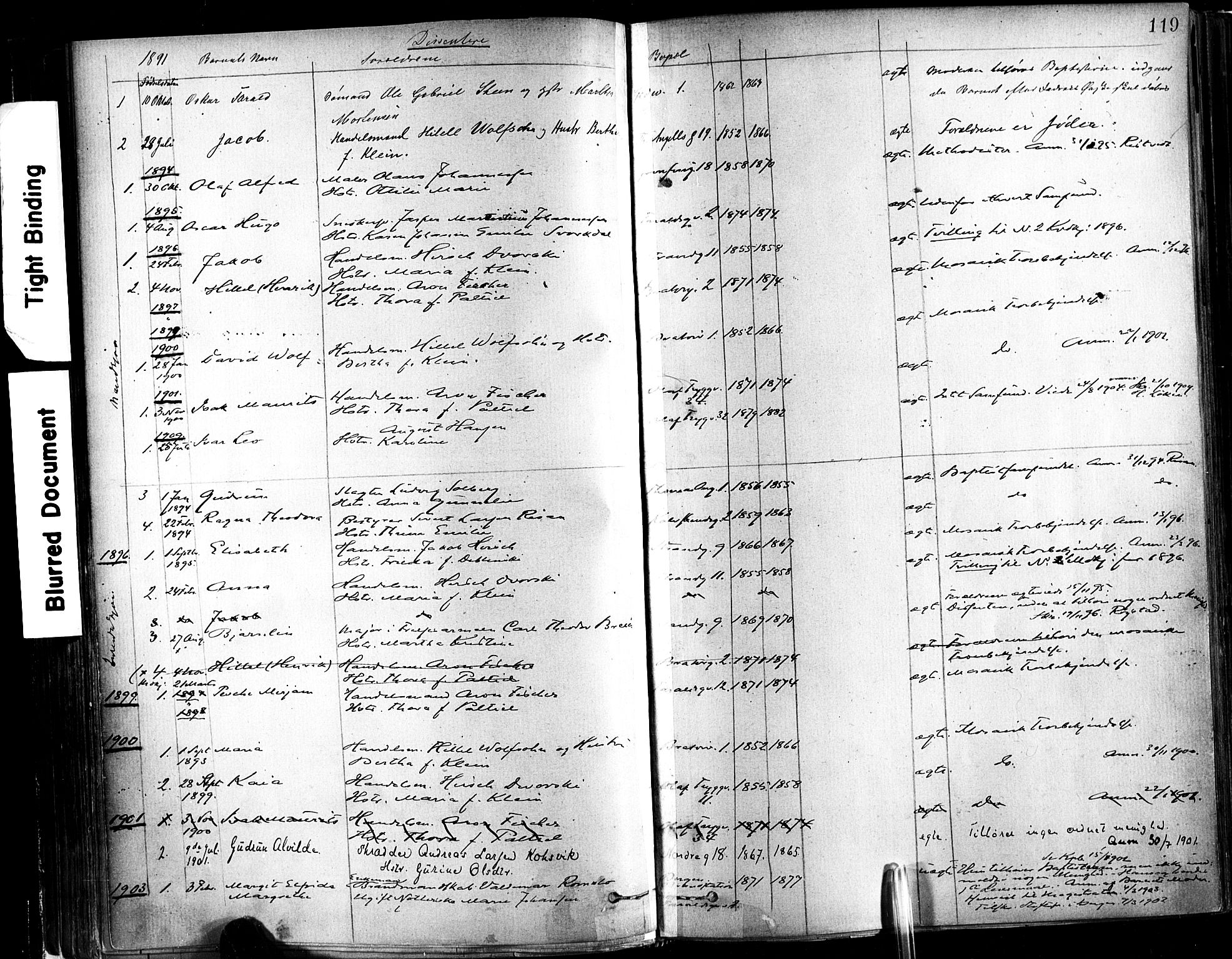 Ministerialprotokoller, klokkerbøker og fødselsregistre - Sør-Trøndelag, SAT/A-1456/602/L0119: Parish register (official) no. 602A17, 1880-1901, p. 119