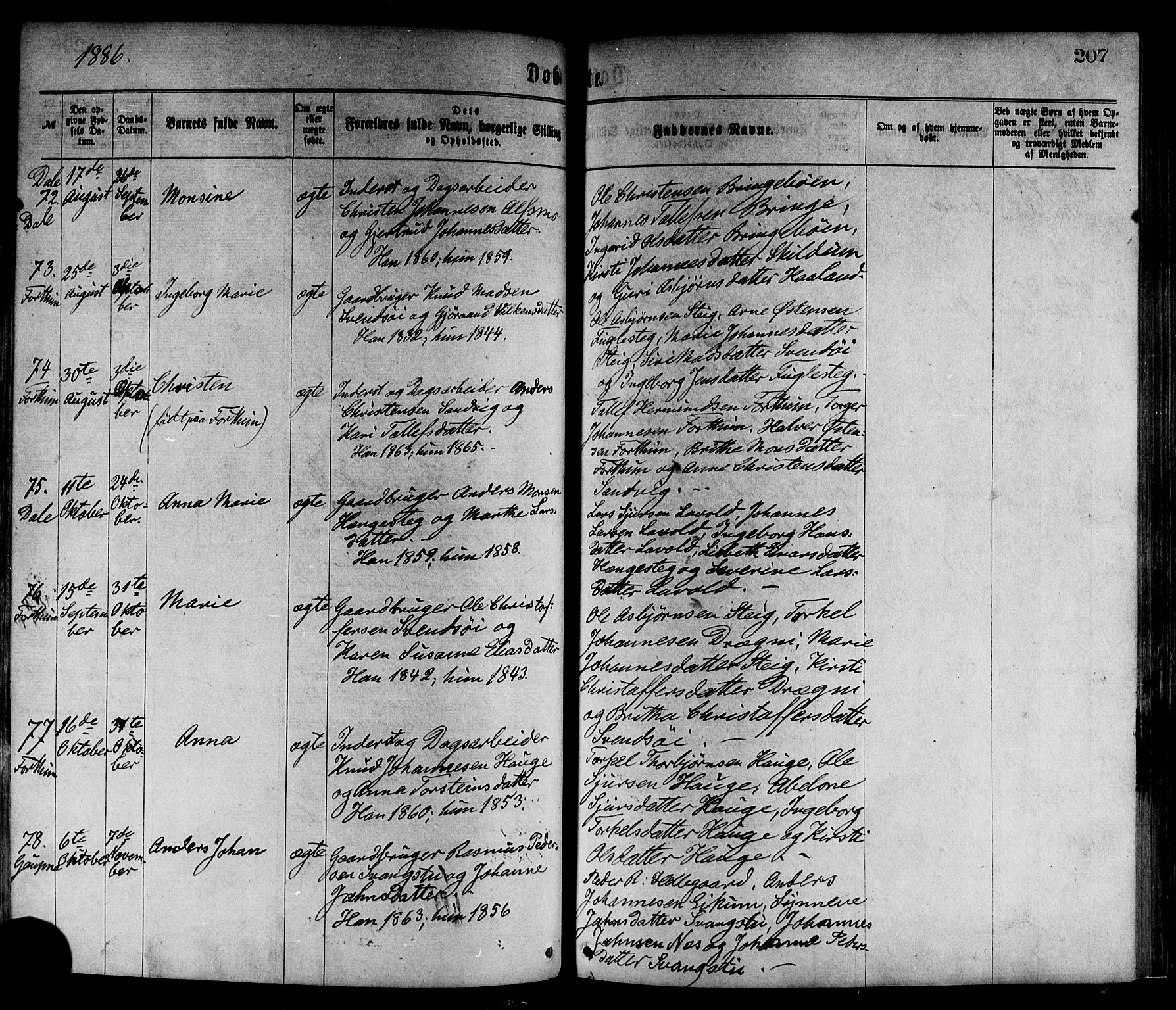 Luster sokneprestembete, AV/SAB-A-81101/H/Haa/Haaa/L0010: Parish register (official) no. A 10, 1871-1886, p. 207