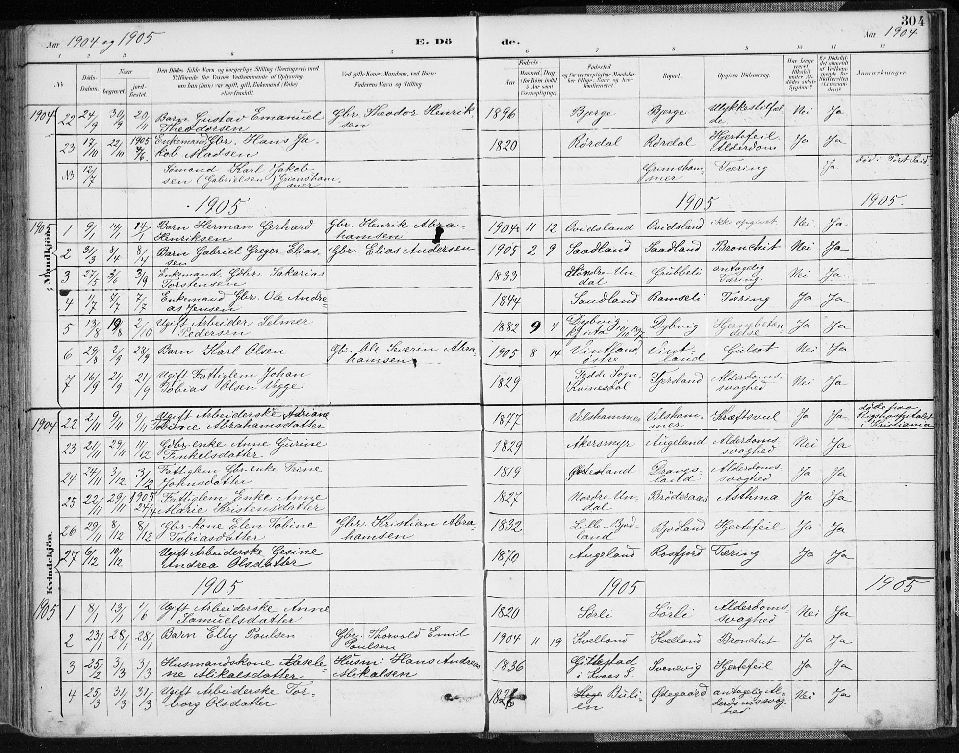 Lyngdal sokneprestkontor, AV/SAK-1111-0029/F/Fa/Fac/L0012: Parish register (official) no. A 12, 1894-1918, p. 304