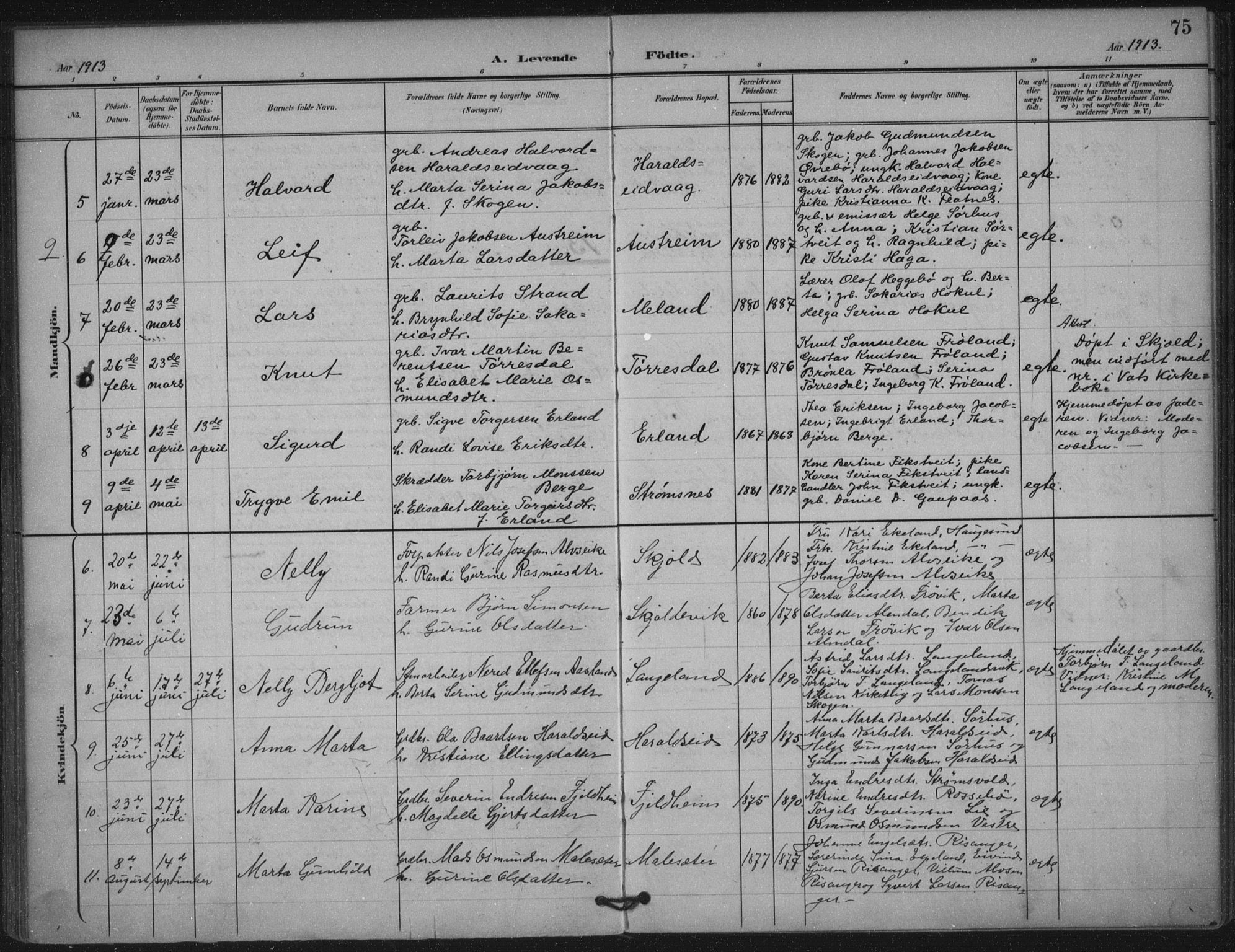 Skjold sokneprestkontor, AV/SAST-A-101847/H/Ha/Haa/L0011: Parish register (official) no. A 11, 1897-1914, p. 75