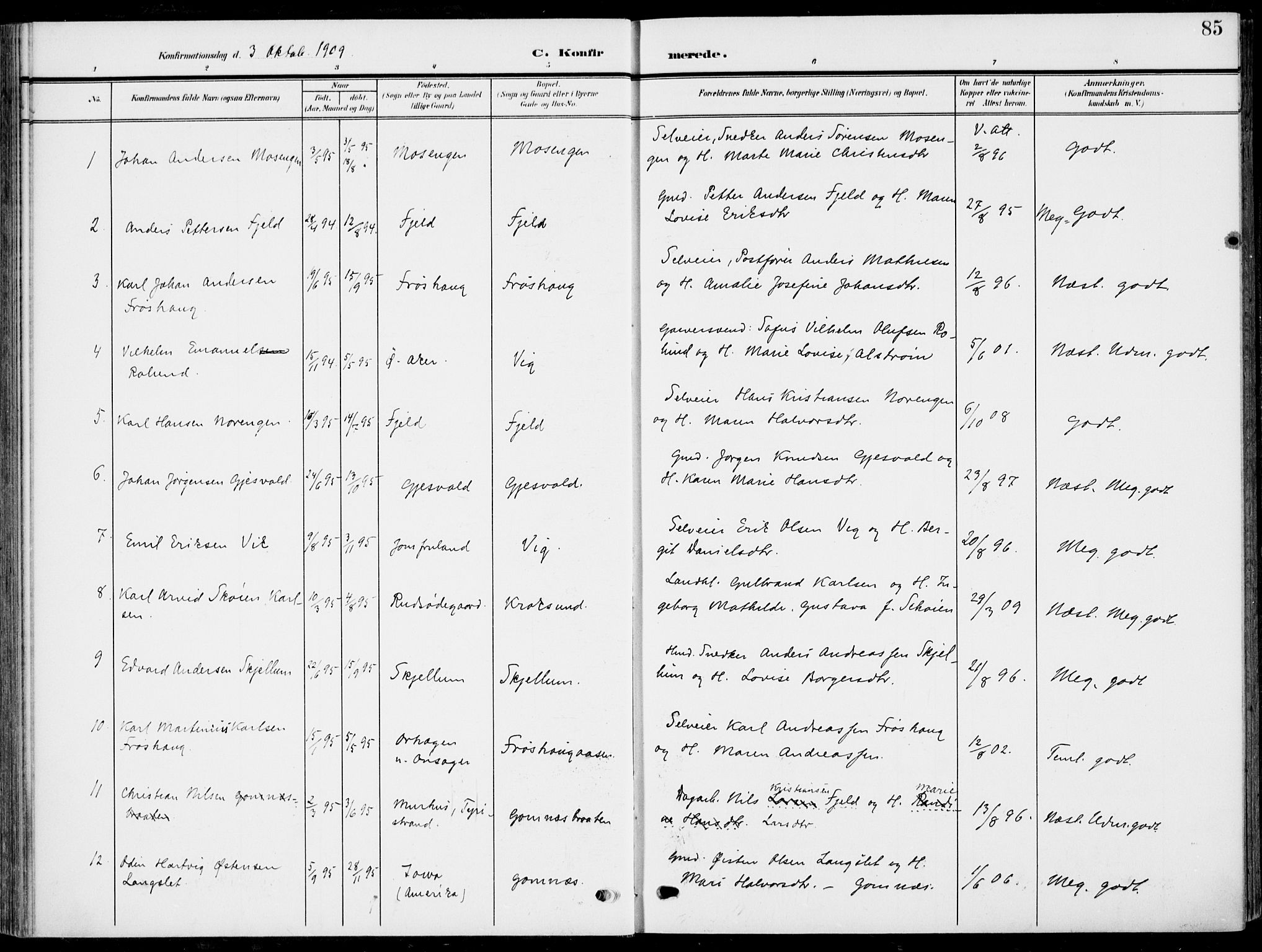 Hole kirkebøker, SAKO/A-228/F/Fa/L0010: Parish register (official) no. I 10, 1907-1917, p. 85