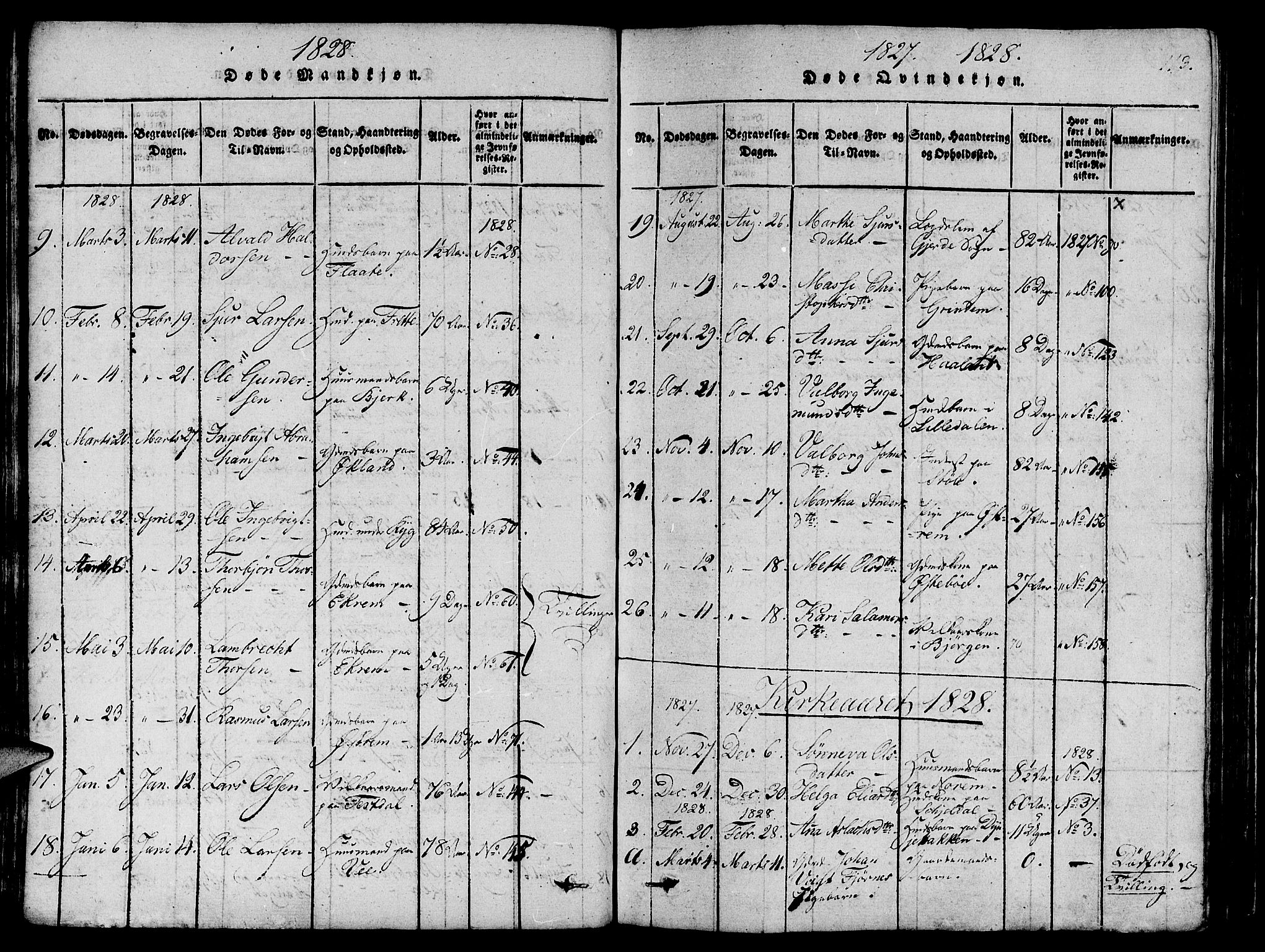 Etne sokneprestembete, SAB/A-75001/H/Haa: Parish register (official) no. A 6, 1815-1831, p. 113