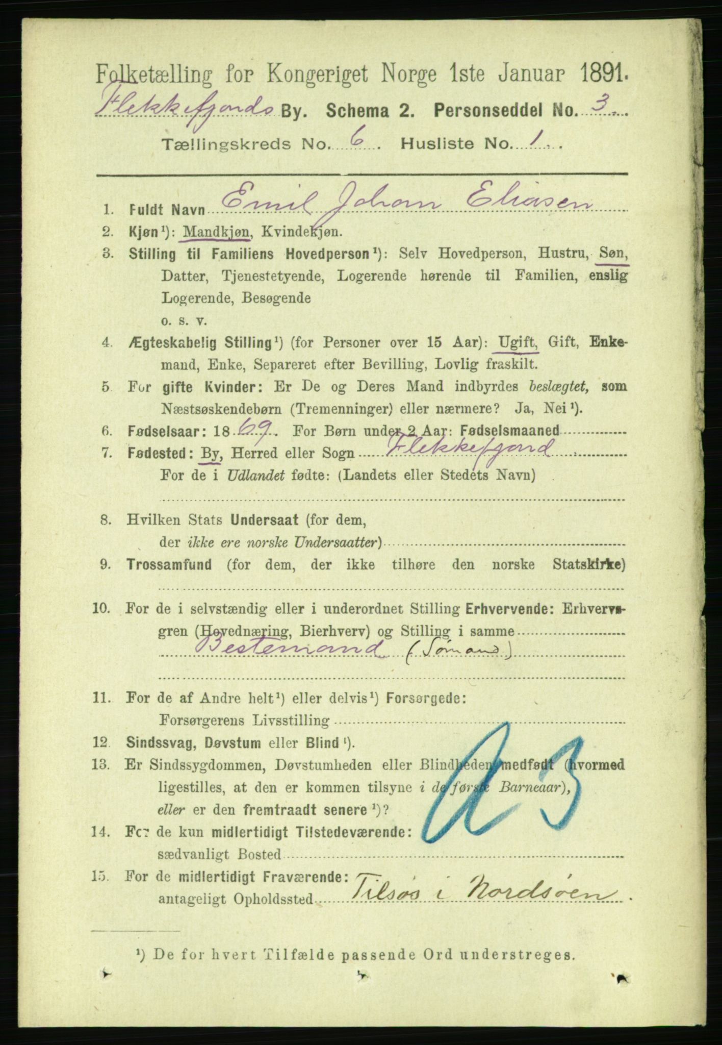 RA, 1891 census for 1004 Flekkefjord, 1891, p. 1163