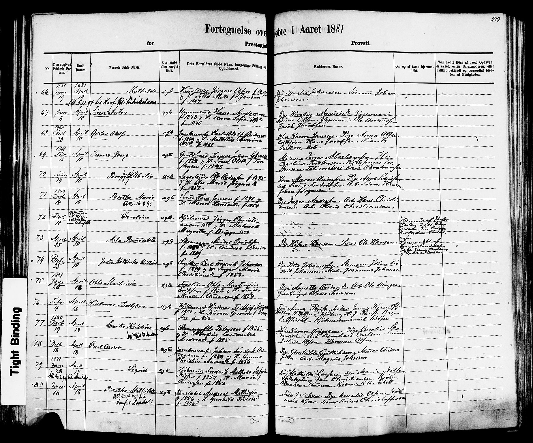 Larvik kirkebøker, AV/SAKO-A-352/F/Fa/L0006: Parish register (official) no. I 6, 1871-1883, p. 213