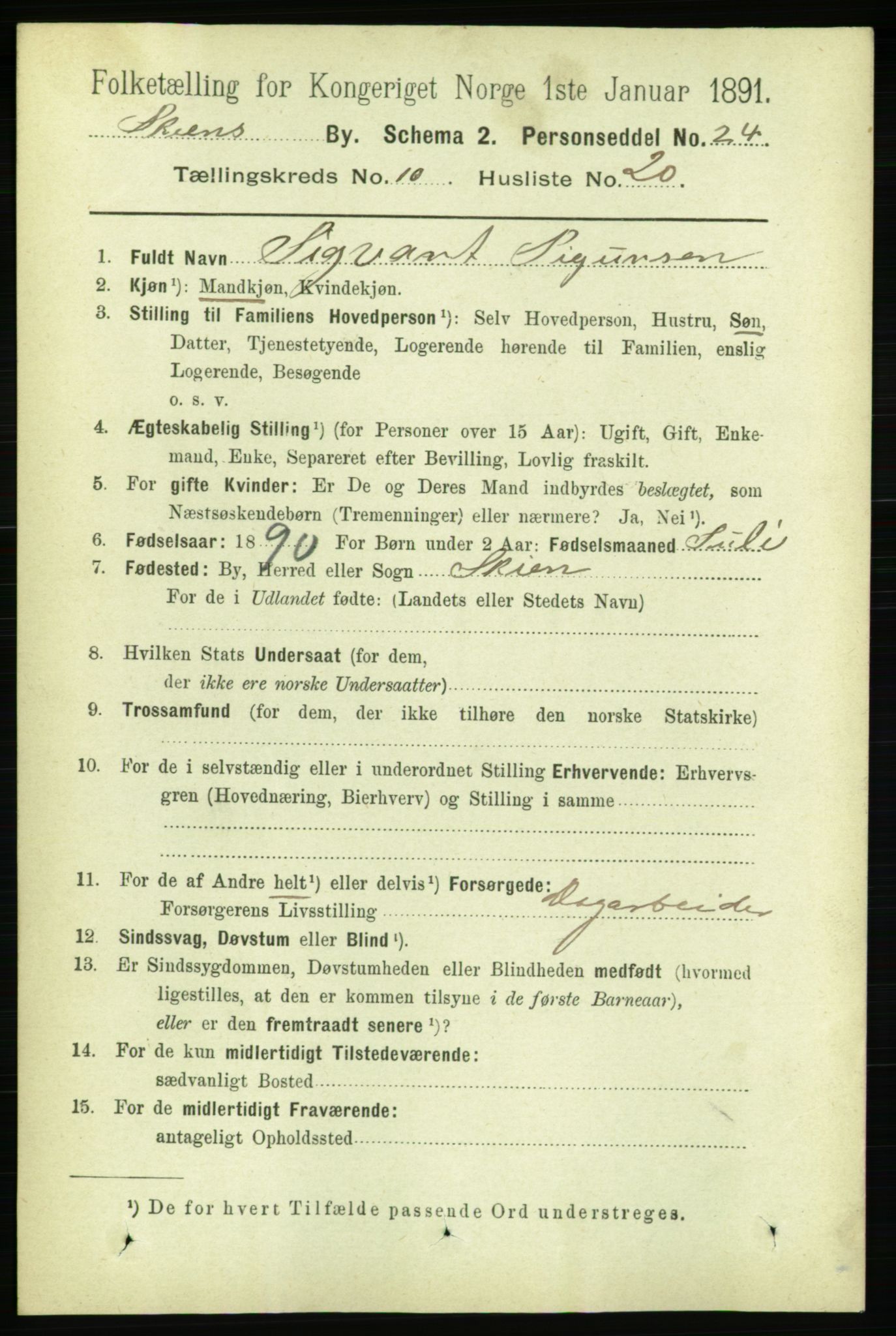 RA, 1891 census for 0806 Skien, 1891, p. 3798