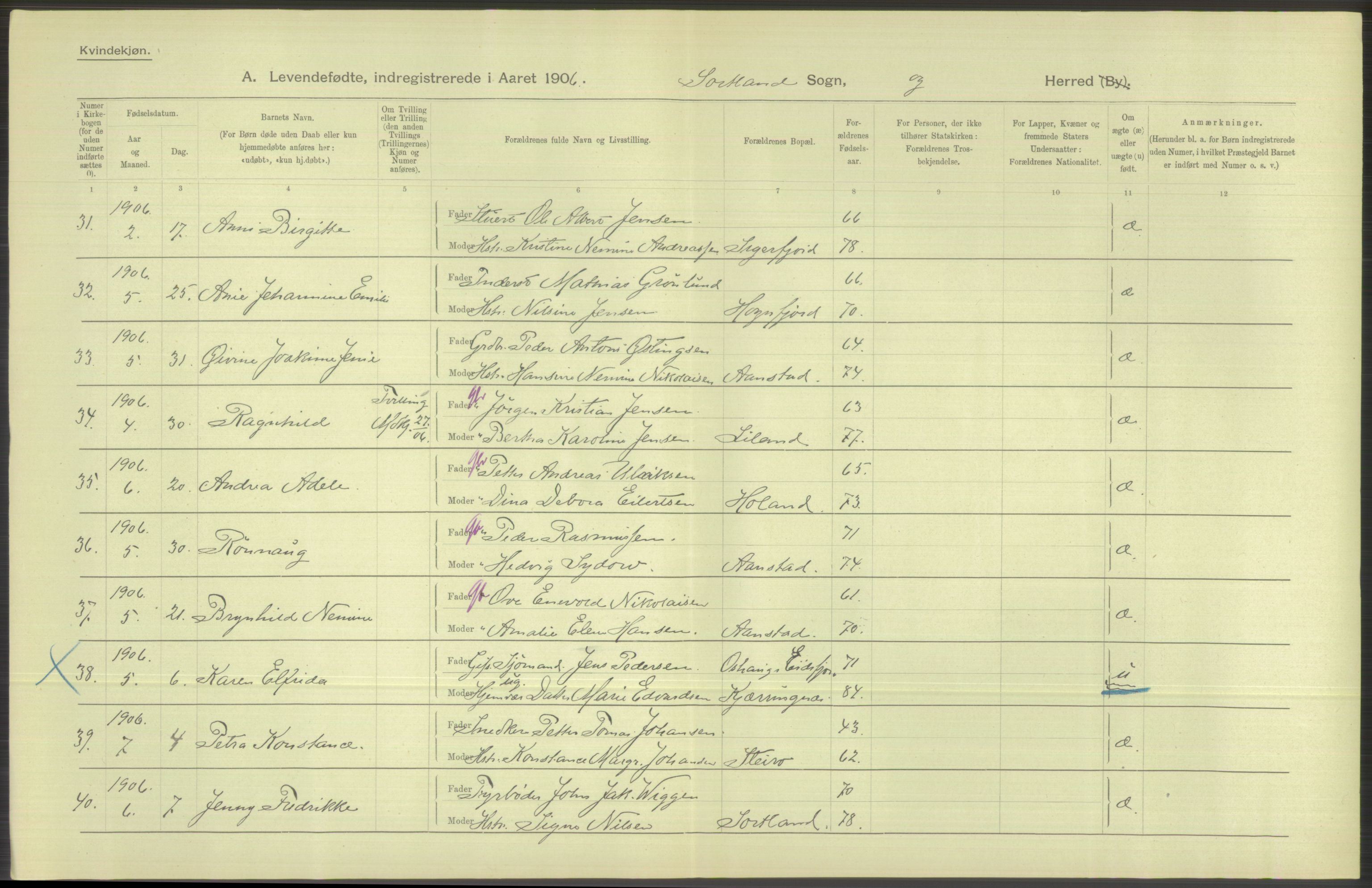 Statistisk sentralbyrå, Sosiodemografiske emner, Befolkning, AV/RA-S-2228/D/Df/Dfa/Dfad/L0044: Nordlands amt: Levendefødte menn og kvinner. Bygder., 1906, p. 32