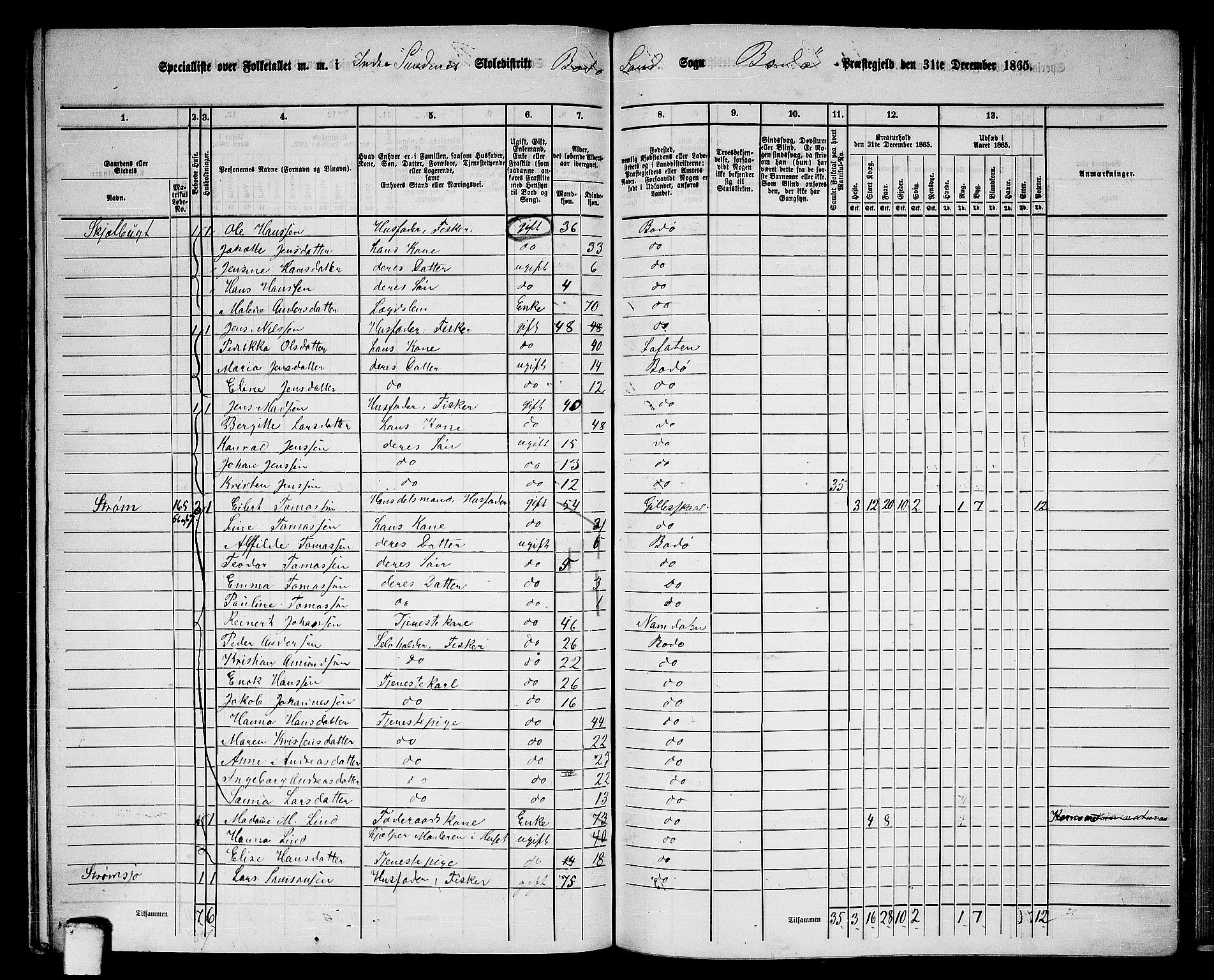 RA, 1865 census for Bodø/Bodø, 1865, p. 114