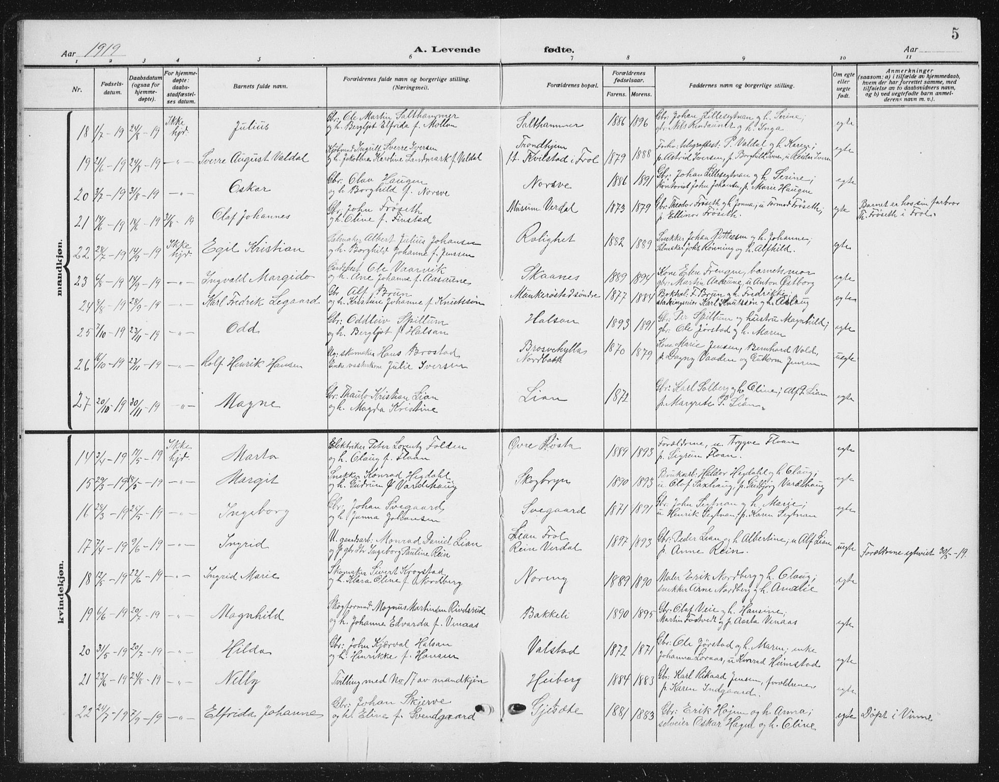 Ministerialprotokoller, klokkerbøker og fødselsregistre - Nord-Trøndelag, SAT/A-1458/721/L0209: Parish register (copy) no. 721C02, 1918-1940, p. 5