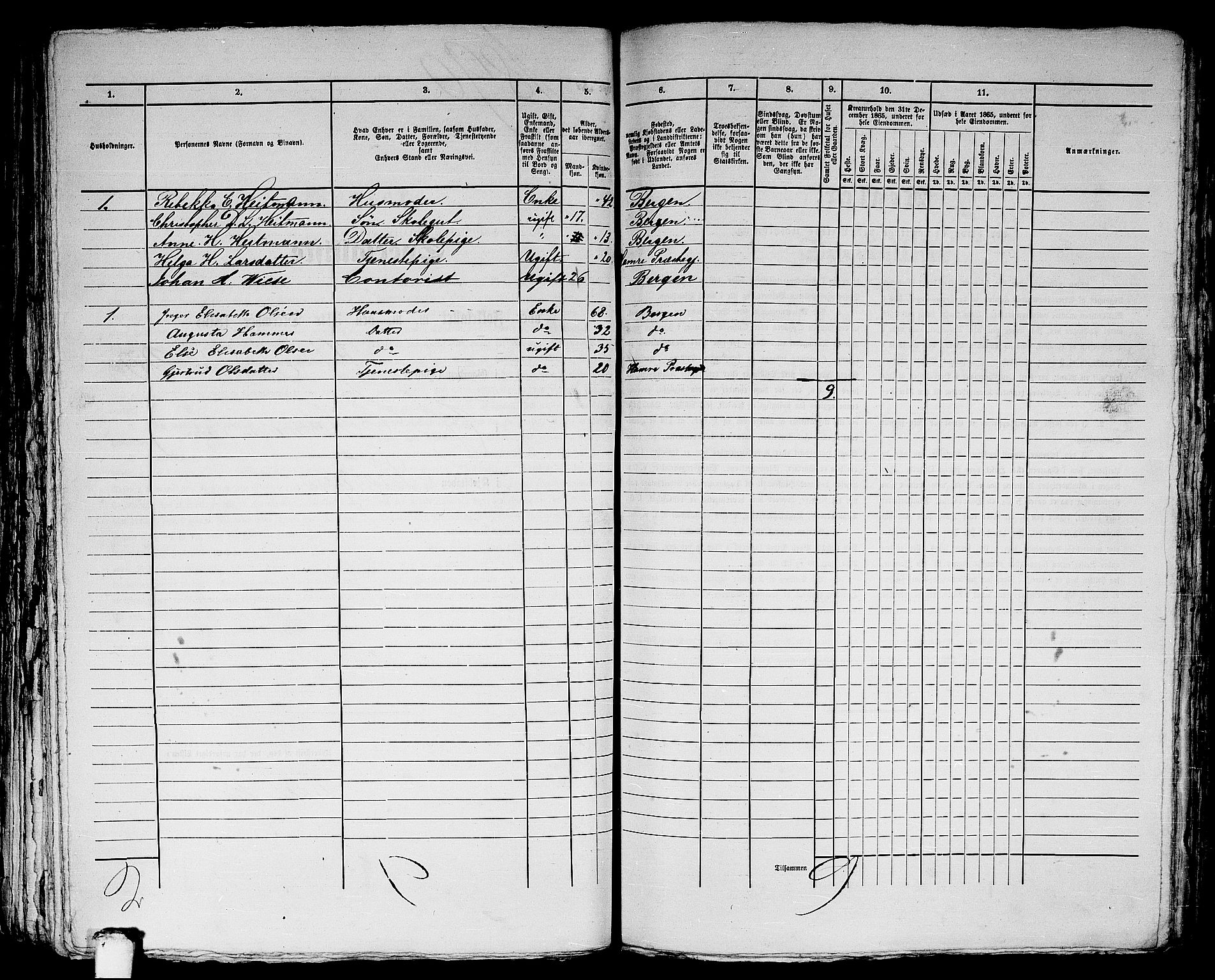 RA, 1865 census for Bergen, 1865, p. 3870