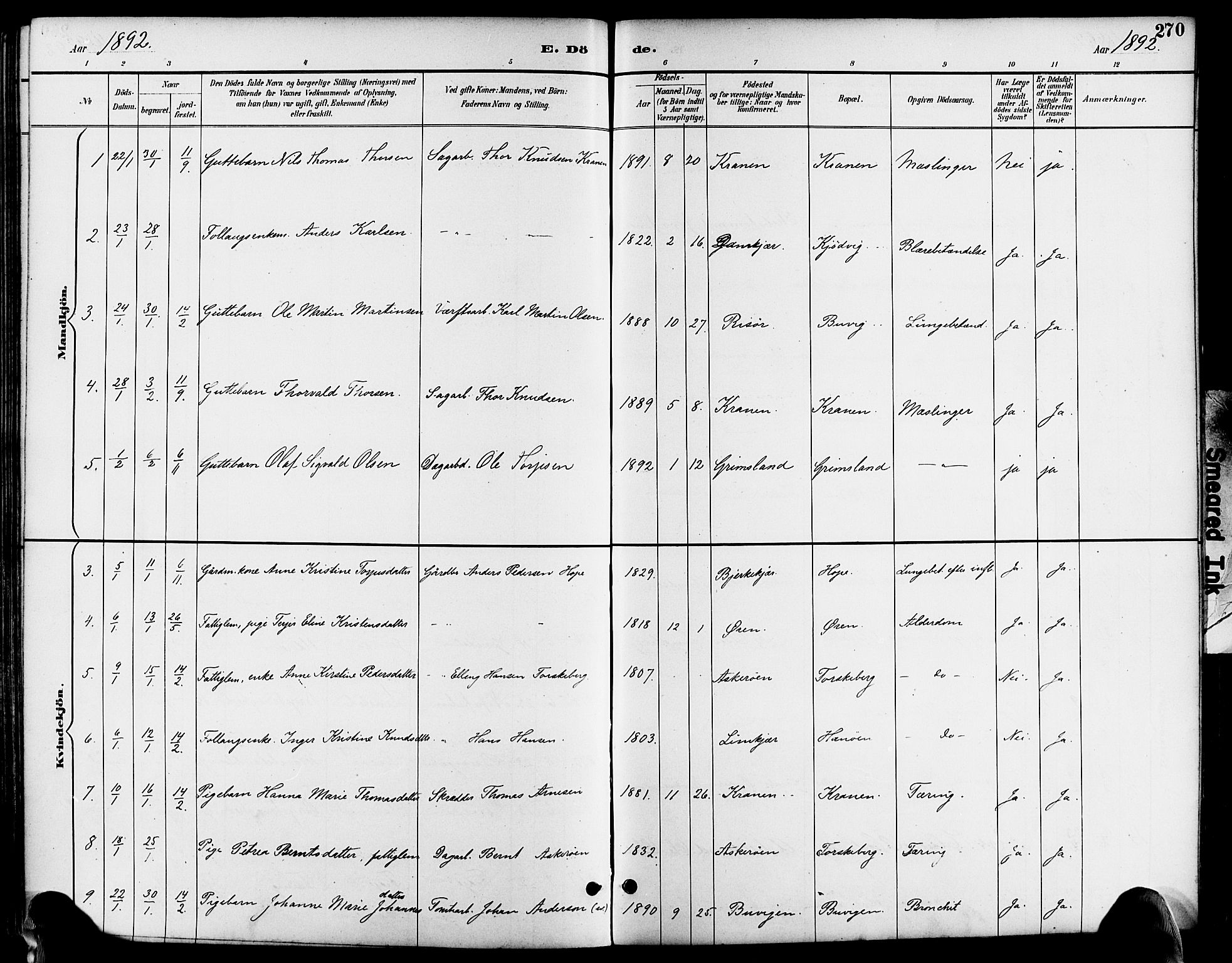 Søndeled sokneprestkontor, AV/SAK-1111-0038/F/Fa/L0005: Parish register (official) no. A 5, 1889-1899, p. 270