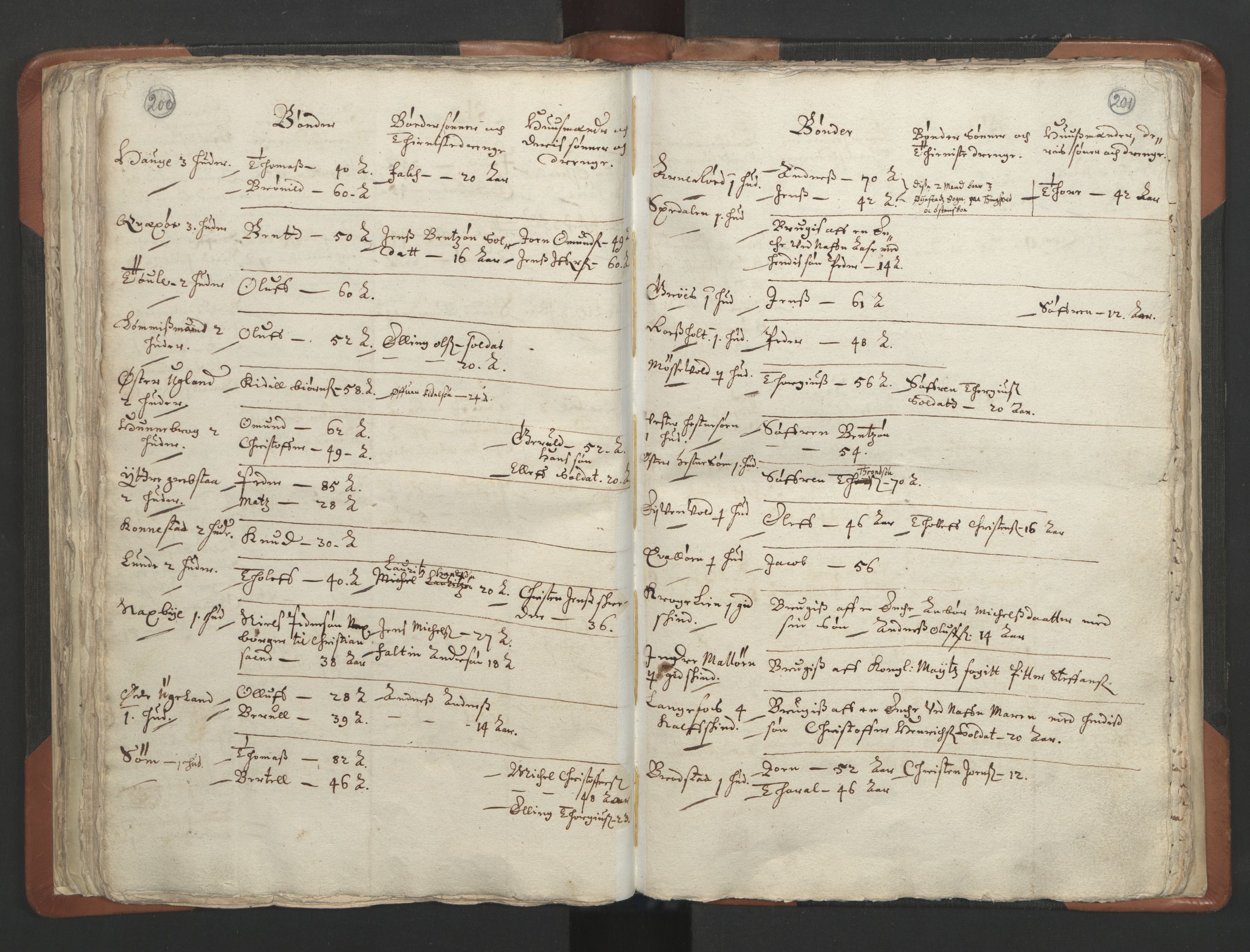 RA, Vicar's Census 1664-1666, no. 13: Nedenes deanery, 1664-1666, p. 200-201