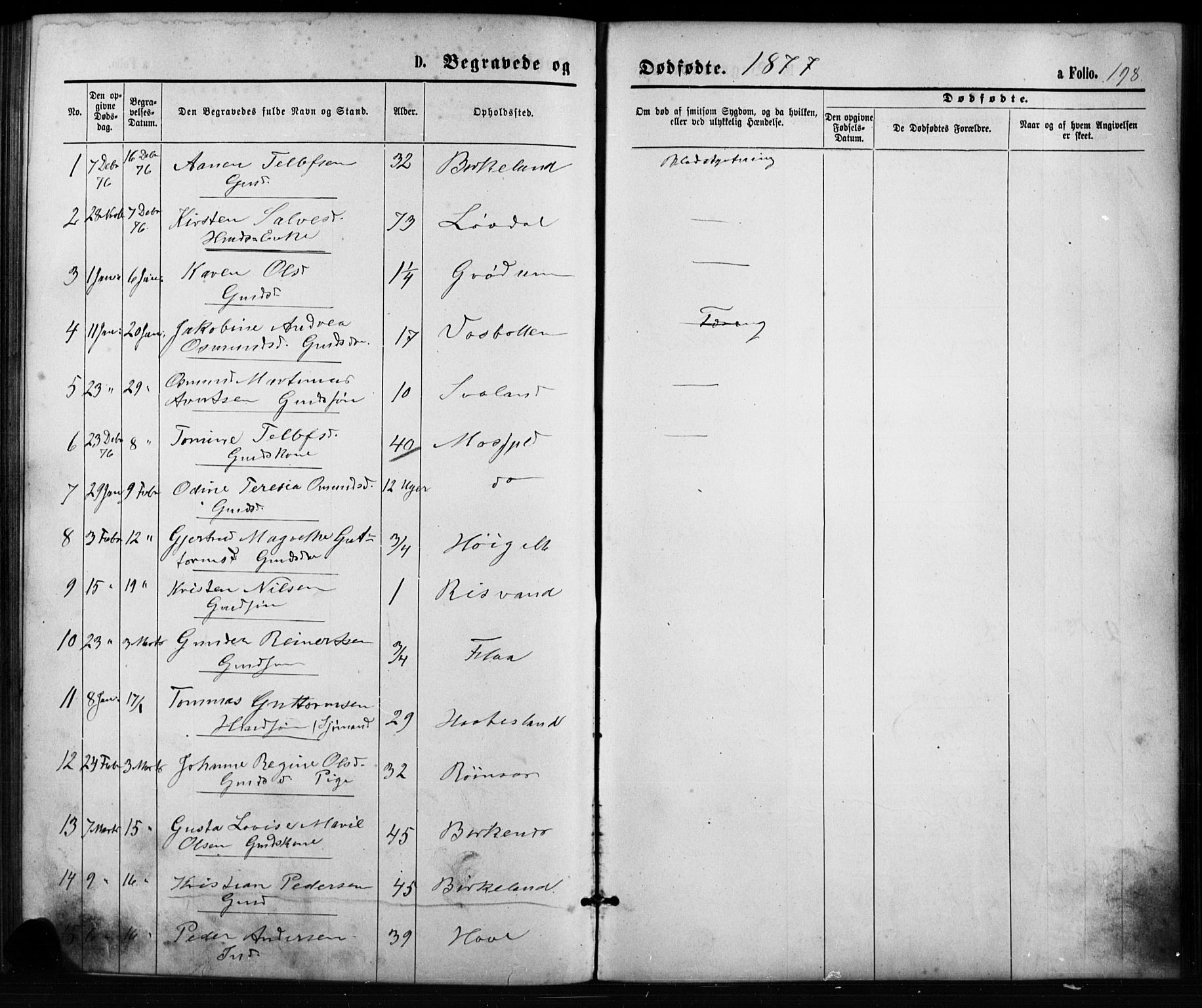 Birkenes sokneprestkontor, SAK/1111-0004/F/Fb/L0003: Parish register (copy) no. B 3, 1876-1892, p. 198
