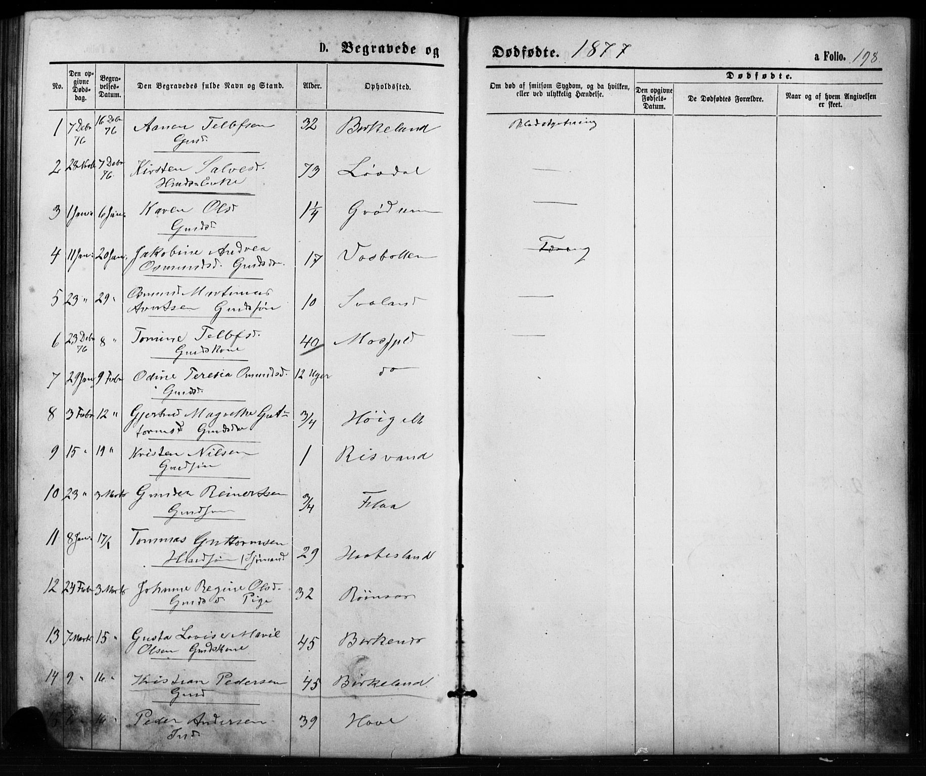 Birkenes sokneprestkontor, AV/SAK-1111-0004/F/Fb/L0003: Parish register (copy) no. B 3, 1876-1892, p. 198