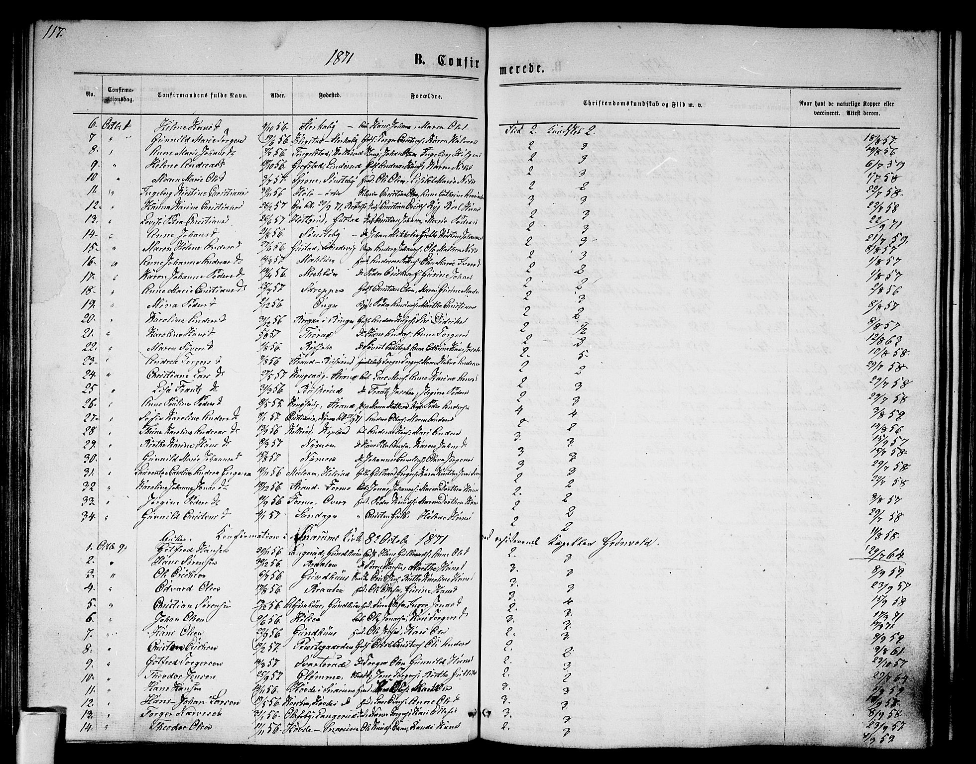 Modum kirkebøker, AV/SAKO-A-234/G/Ga/L0007: Parish register (copy) no. I 7, 1869-1878, p. 117