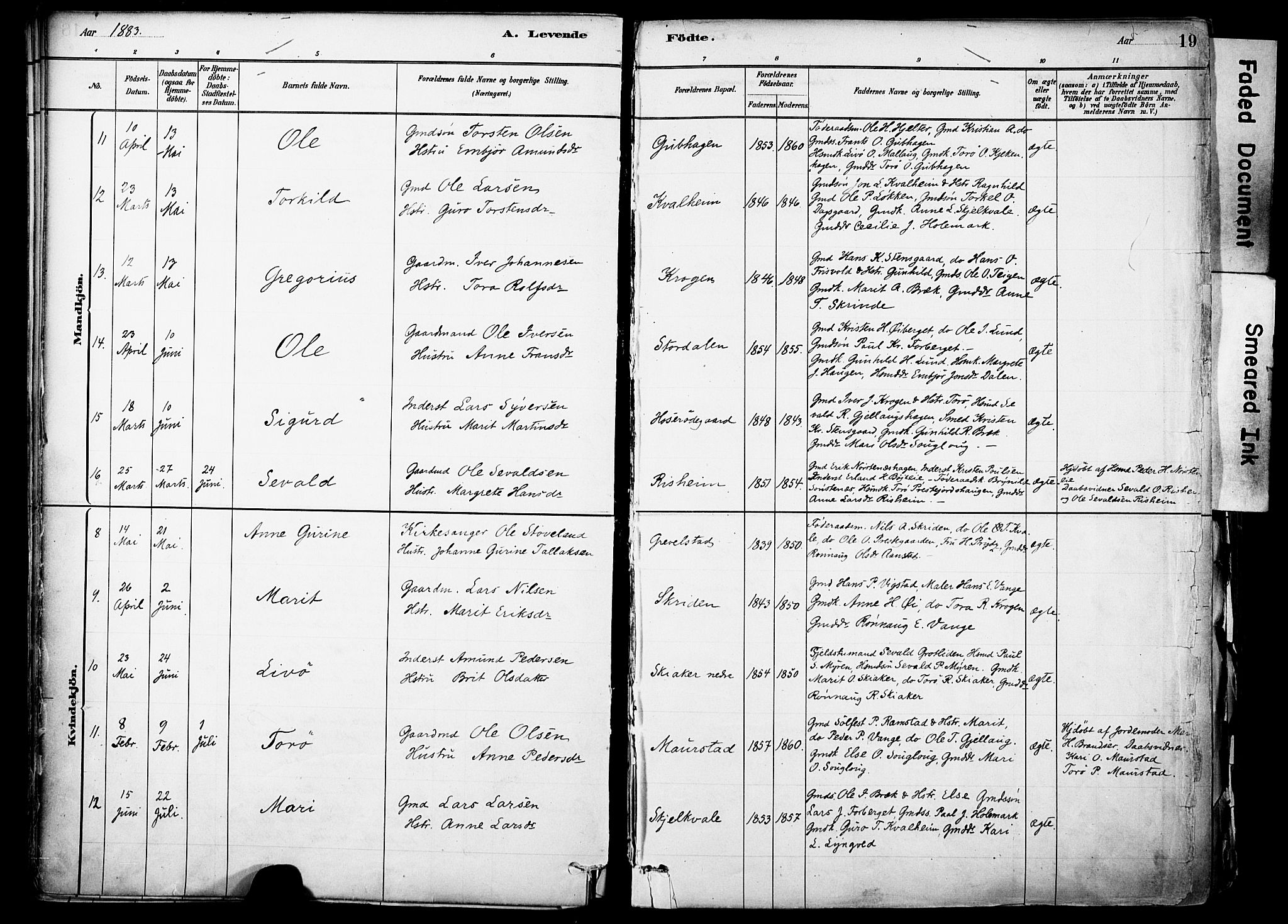 Skjåk prestekontor, AV/SAH-PREST-072/H/Ha/Haa/L0003: Parish register (official) no. 3, 1880-1907, p. 19