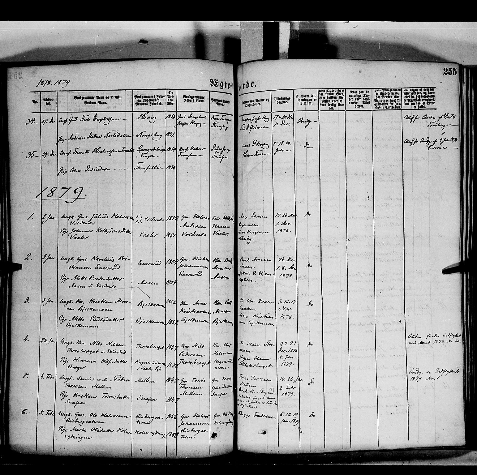 Grue prestekontor, AV/SAH-PREST-036/H/Ha/Haa/L0011: Parish register (official) no. 11, 1873-1880, p. 255