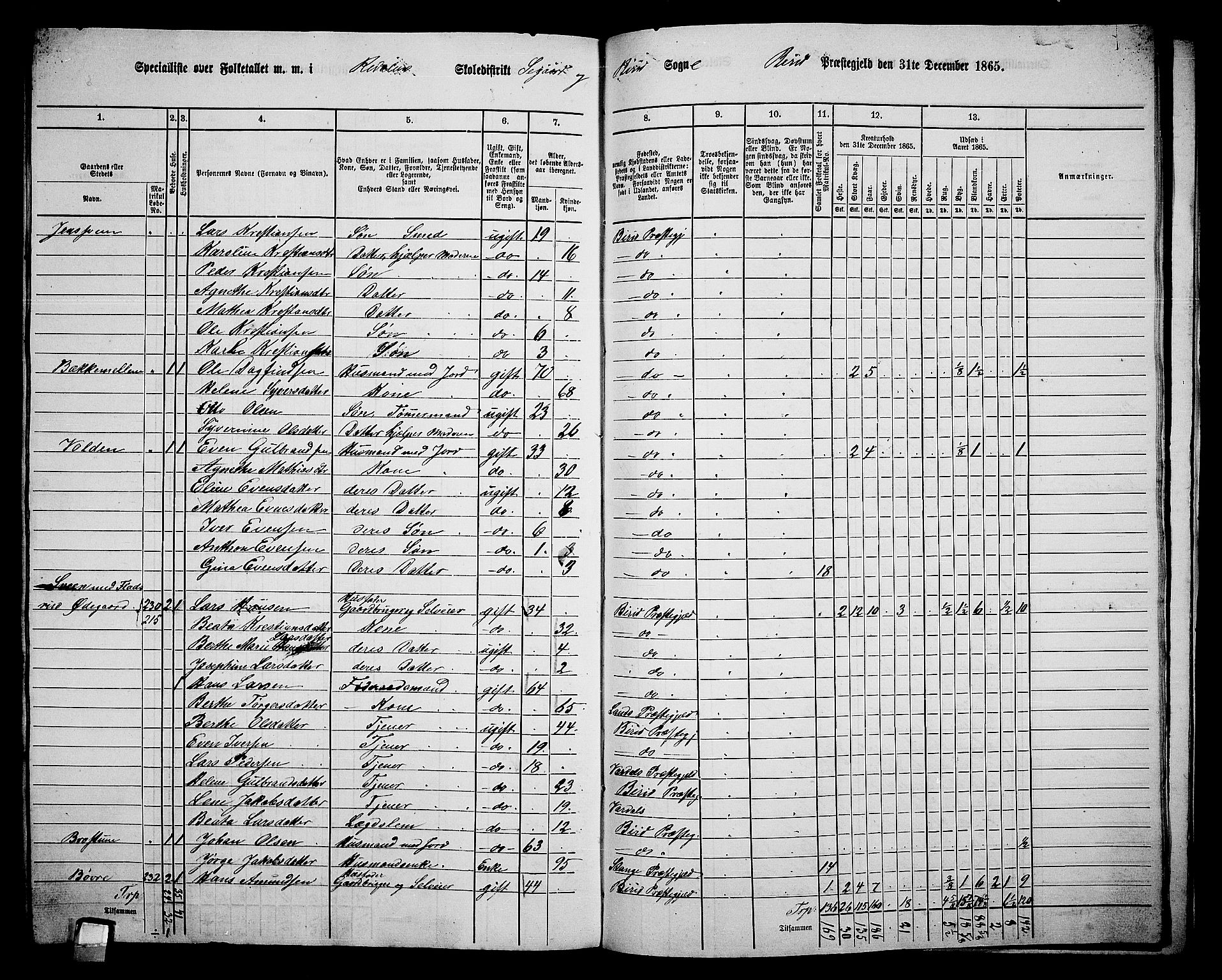 RA, 1865 census for Biri, 1865, p. 203