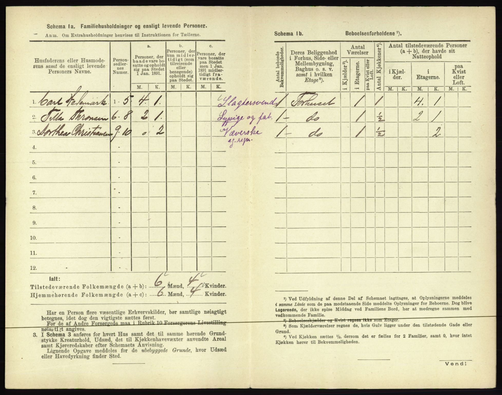 RA, 1891 census for 0602 Drammen, 1891, p. 516